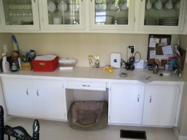 BEFORE - Kitchen - Cabinets