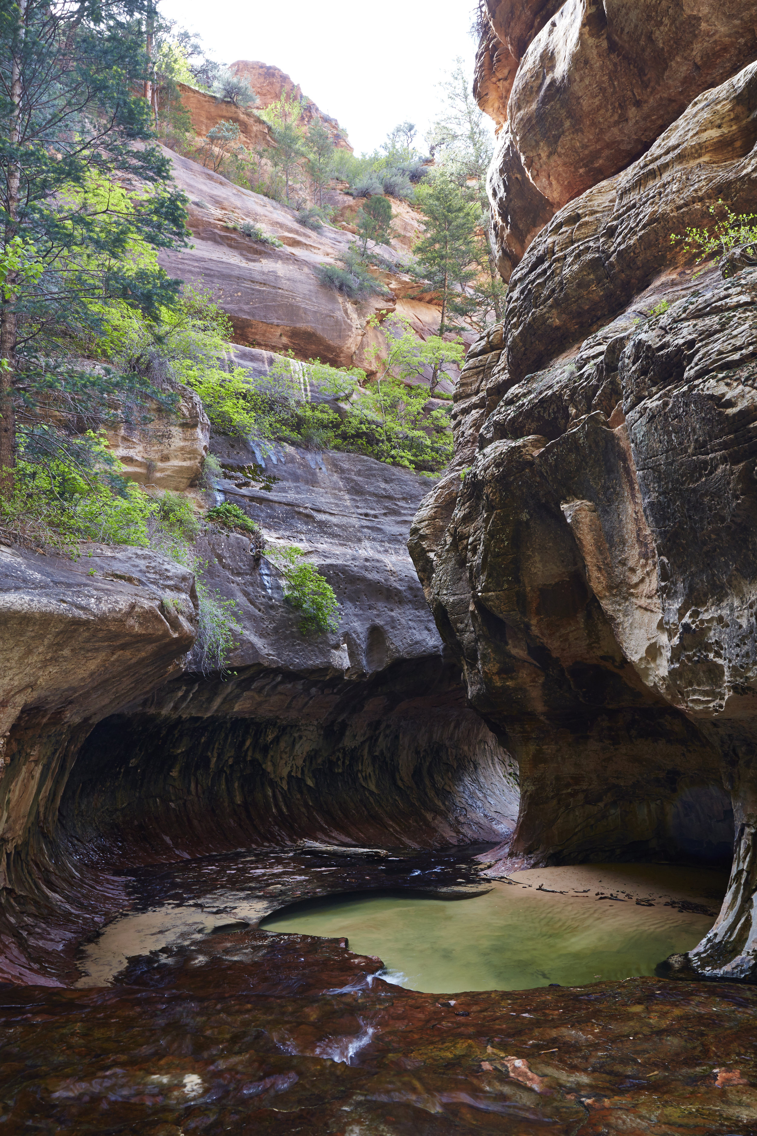 ZionNationalPark_WSJ_003.jpg