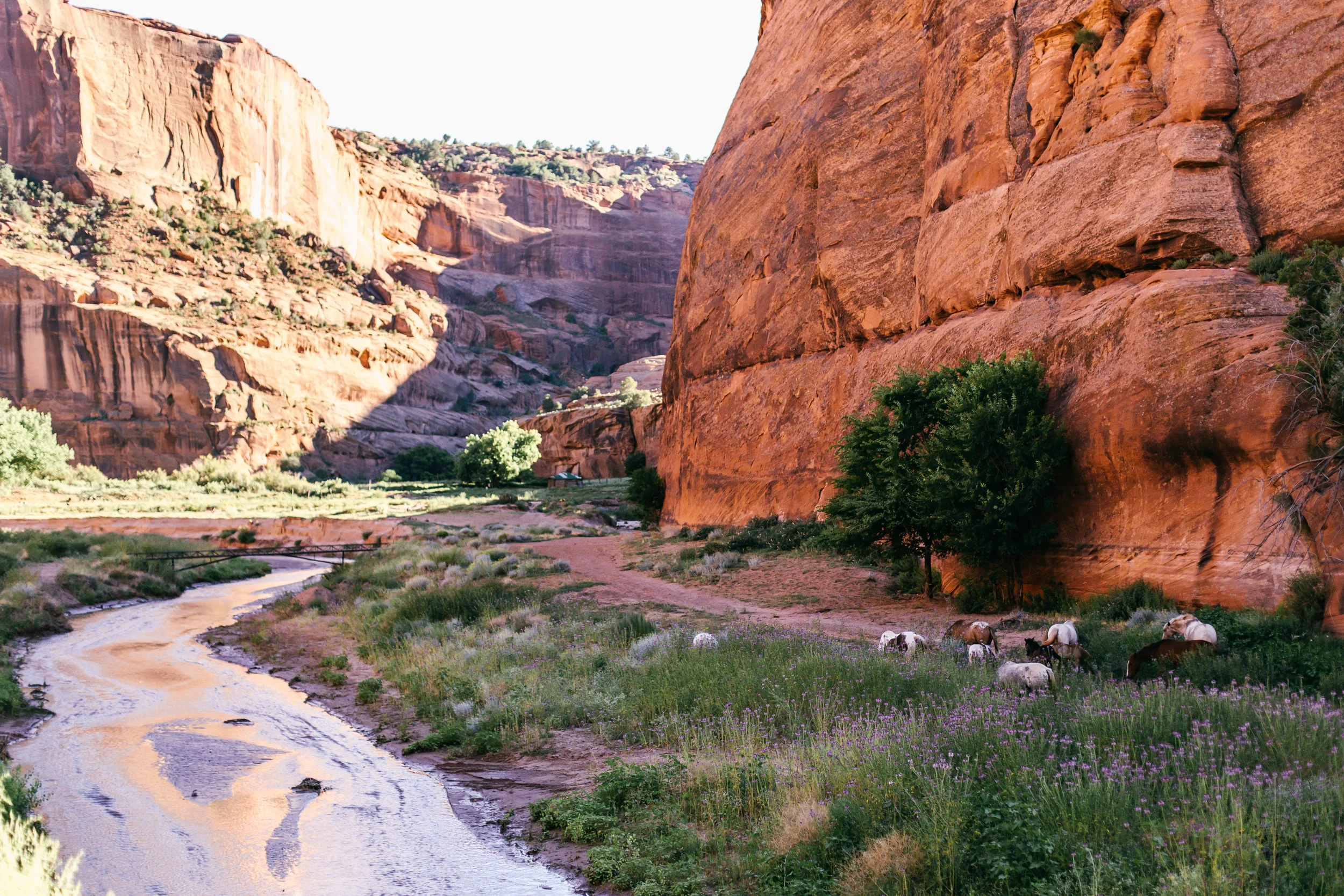 Canyon De Chelly