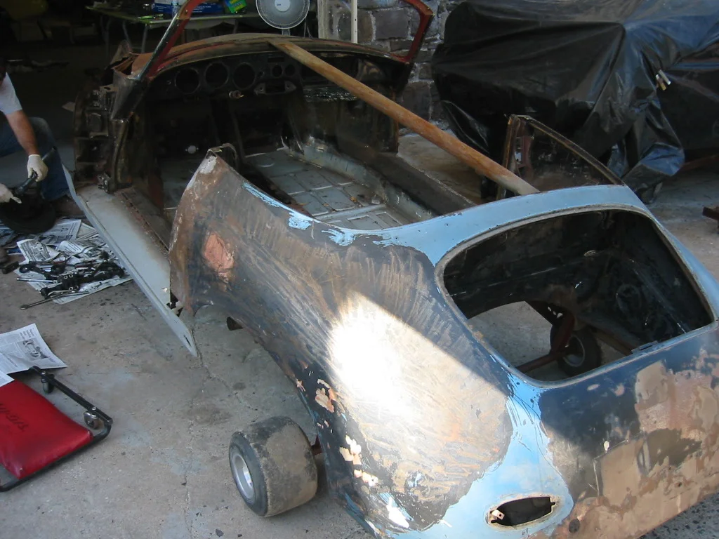 20100817 Bare, bare shell.JPG