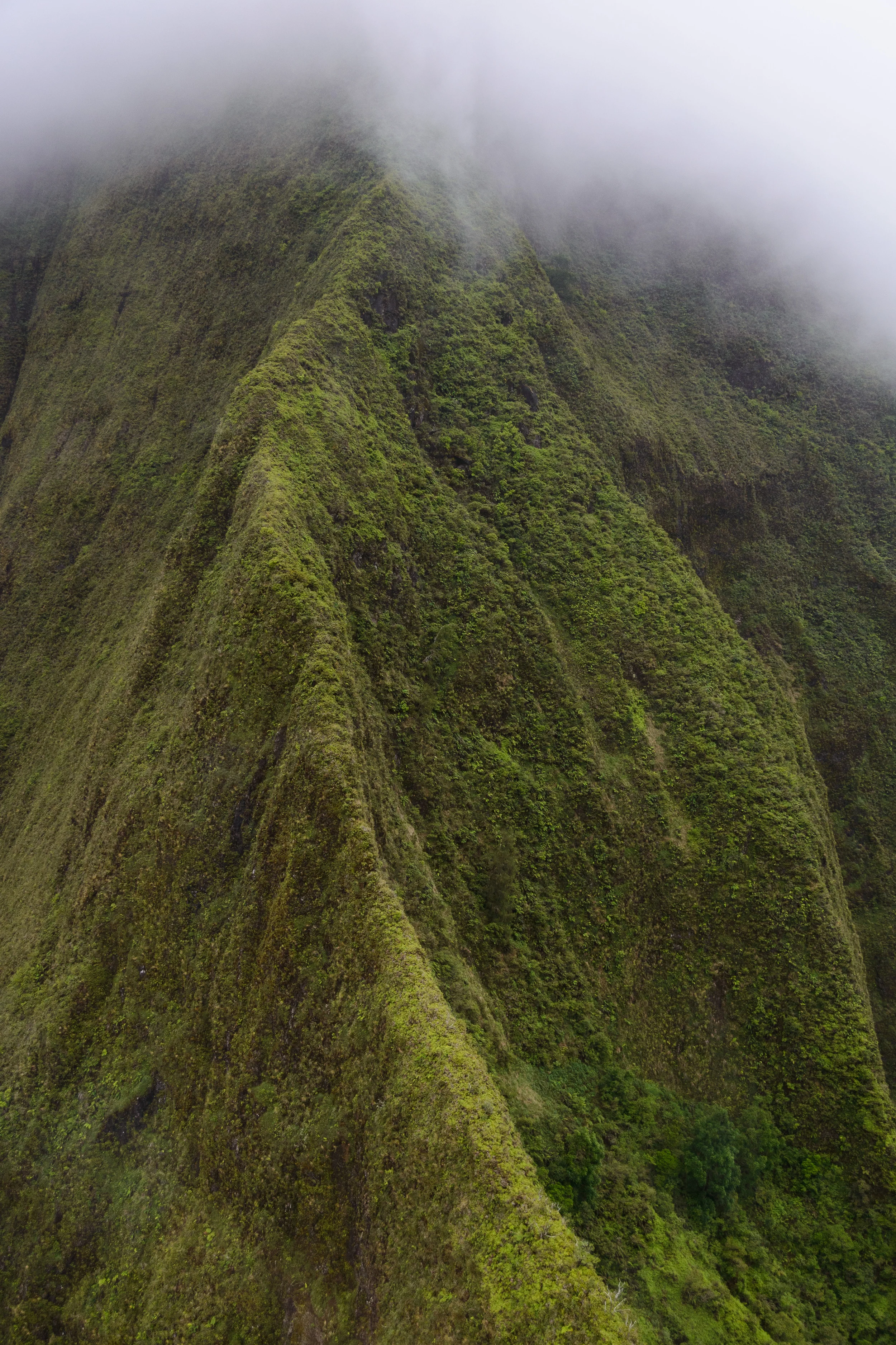 Clouds envelop the upper reaches of Maui's Iao Valley