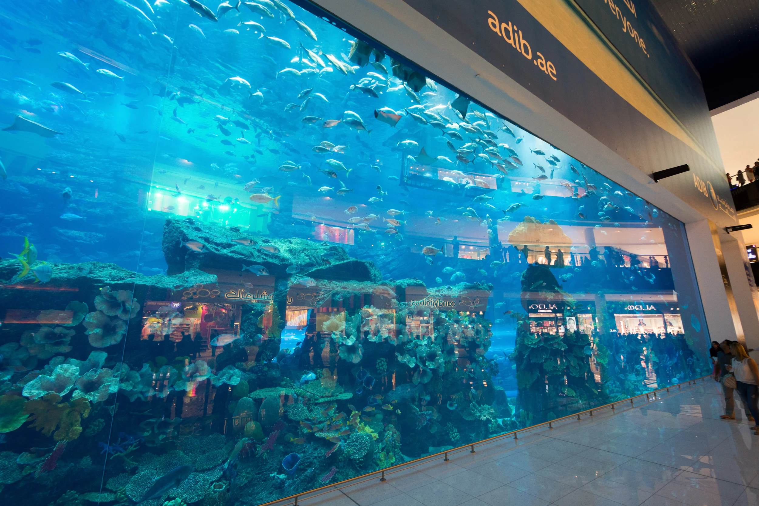 Dubai_Aquarium-3.jpg