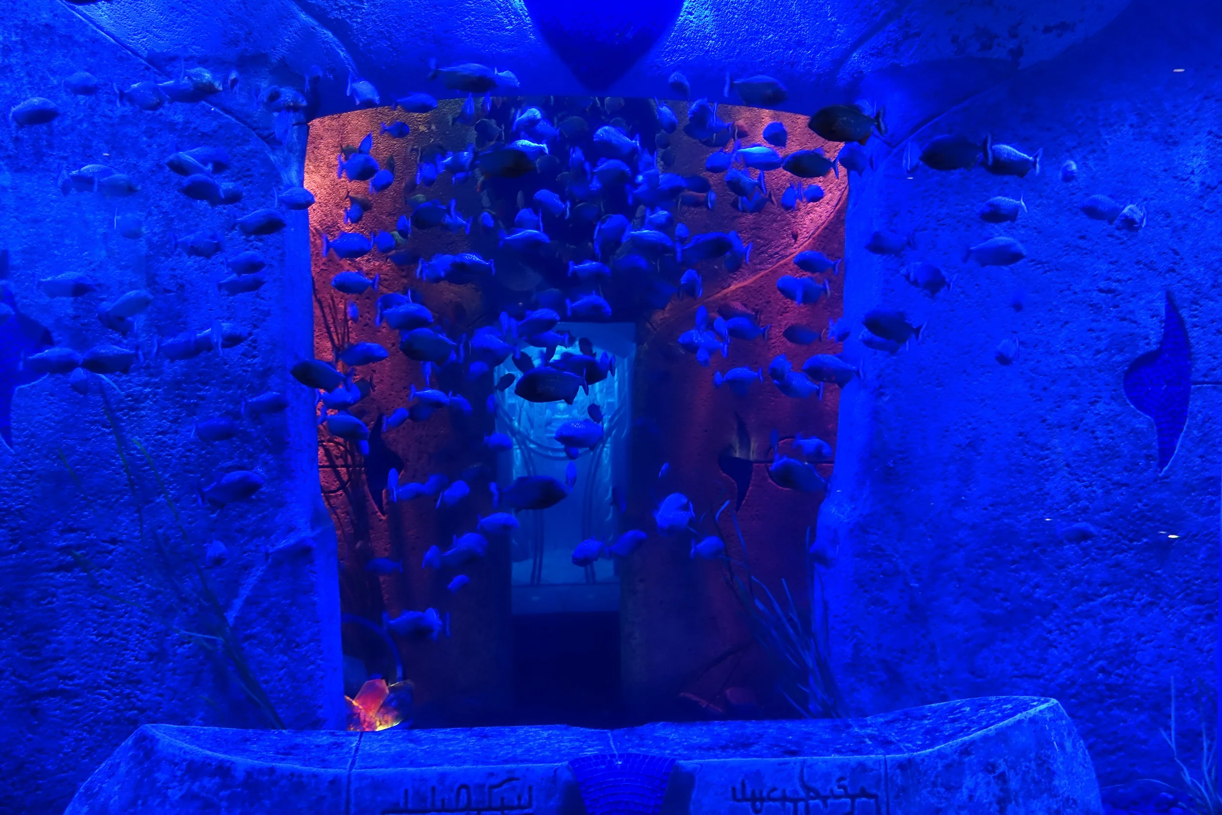 Dubai_Aquarium-11.jpg