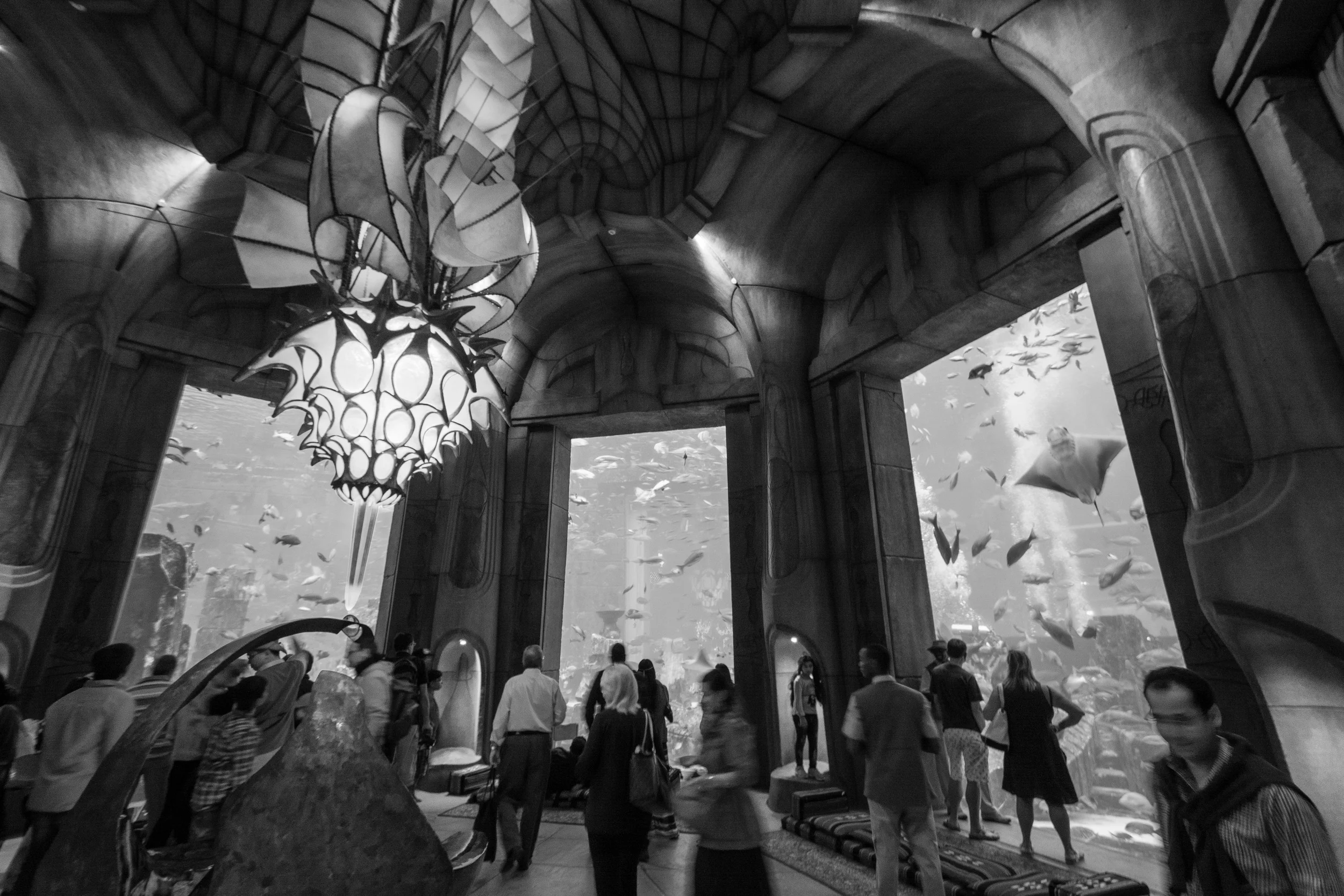 Dubai_Aquarium-12-2.jpg