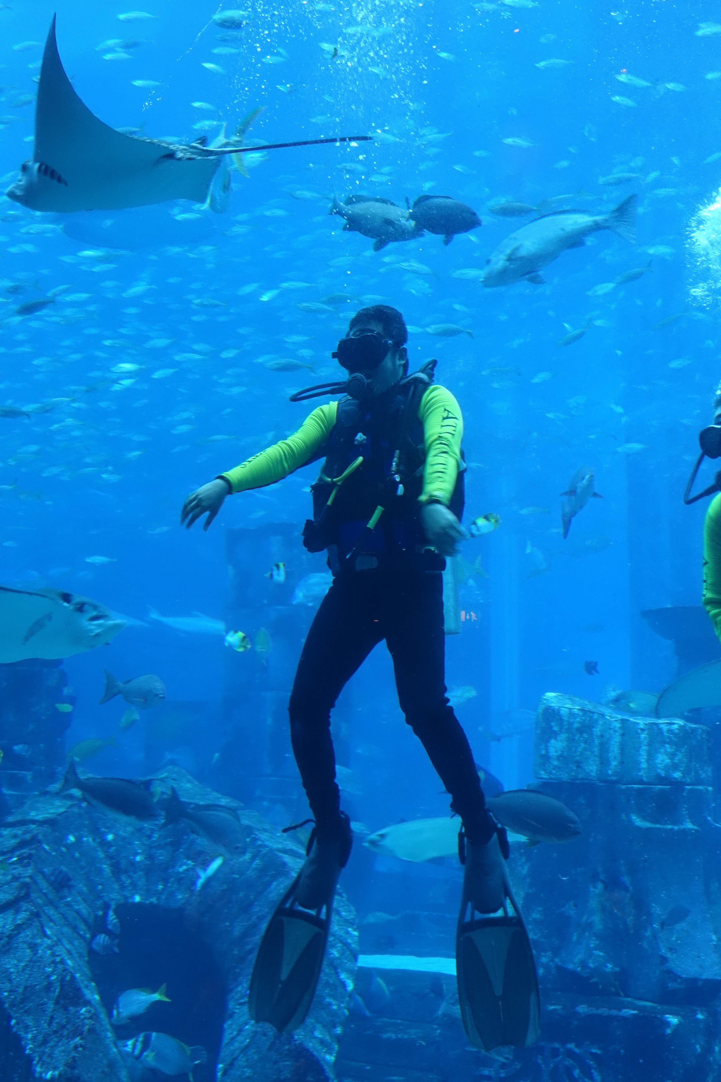 Dubai_Aquarium-15.jpg