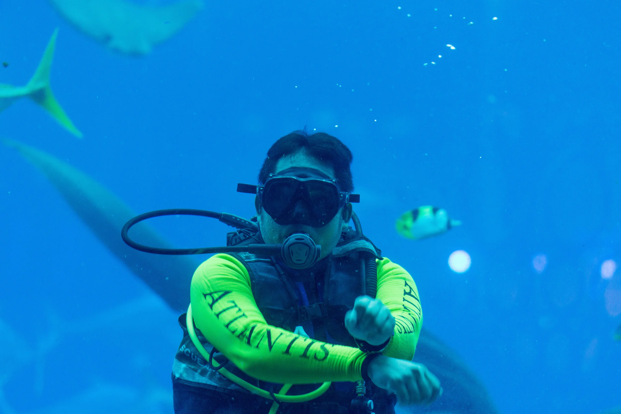 Dubai_Aquarium-19-3.jpg