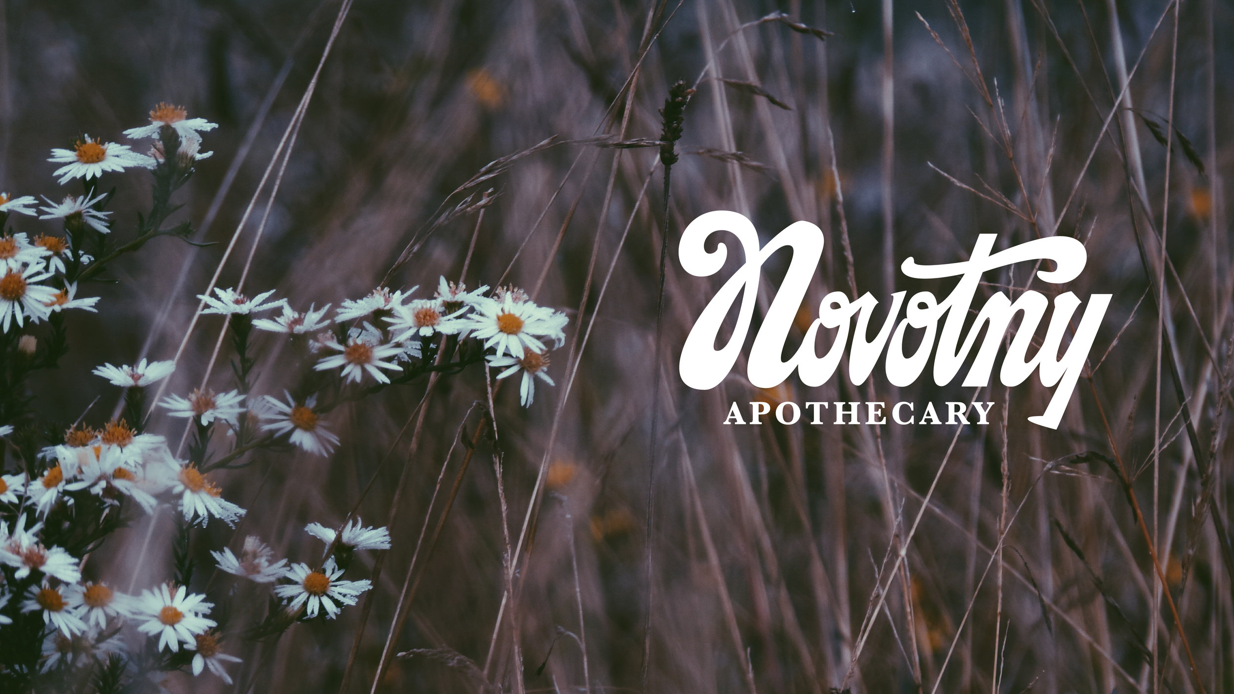   Hand-Lettered Logo Design for Novotny Apothecary  