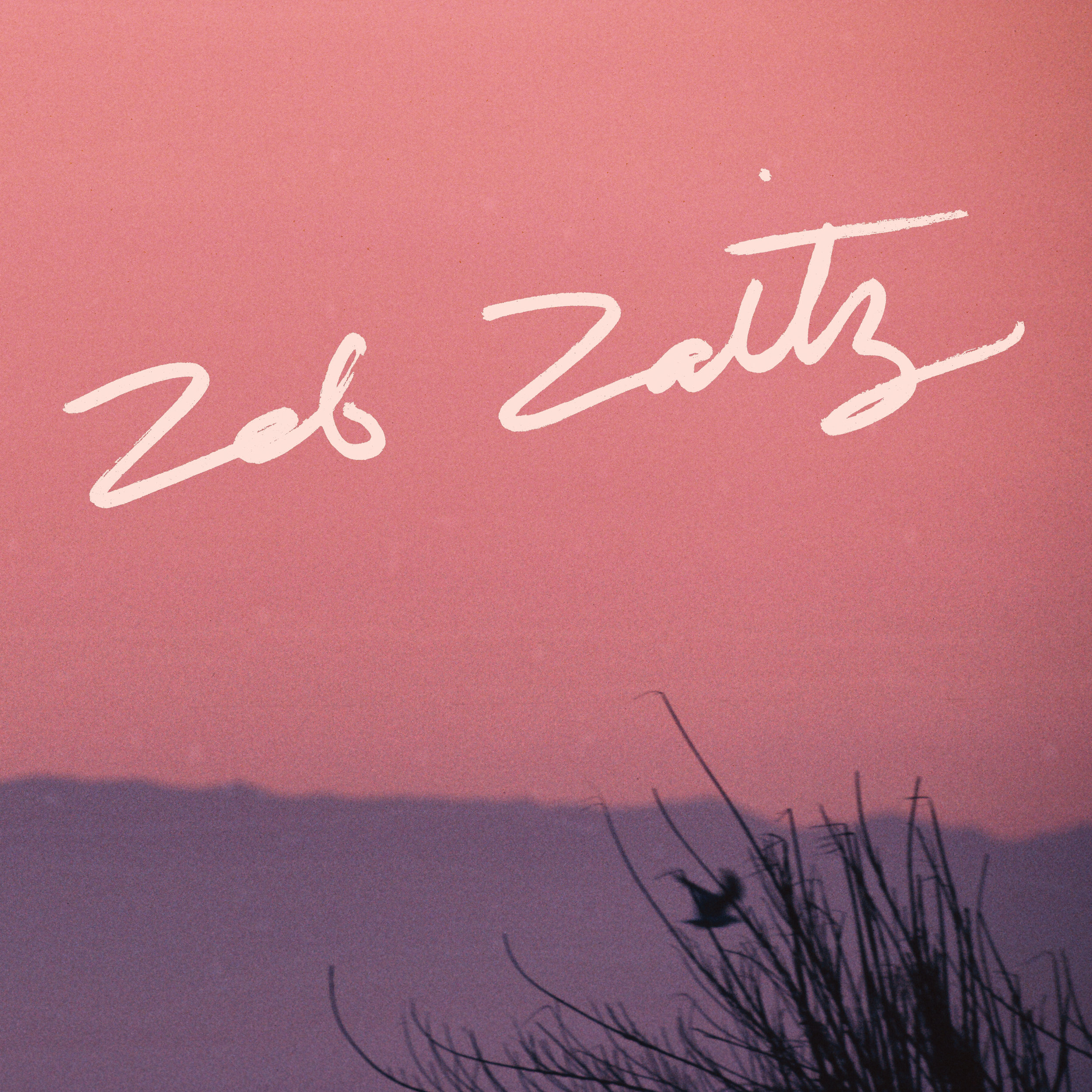   Hand-Lettered Album Title for Zeb Zaitz (Royal Oakie)  
