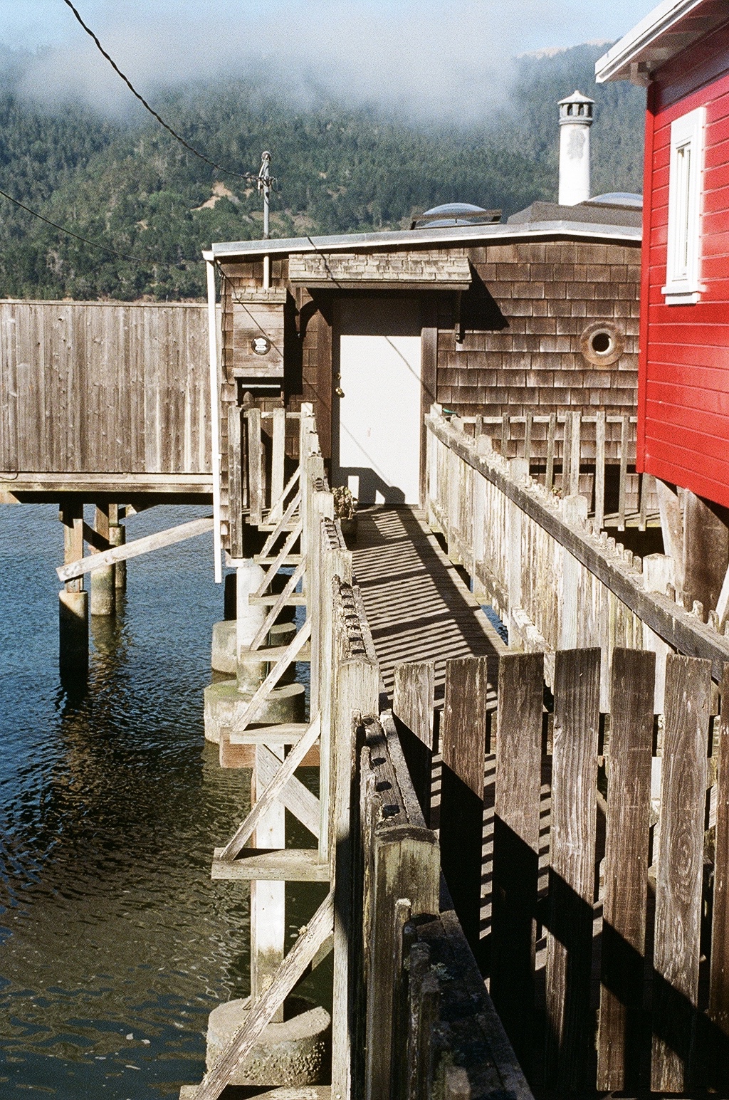 Film Photography