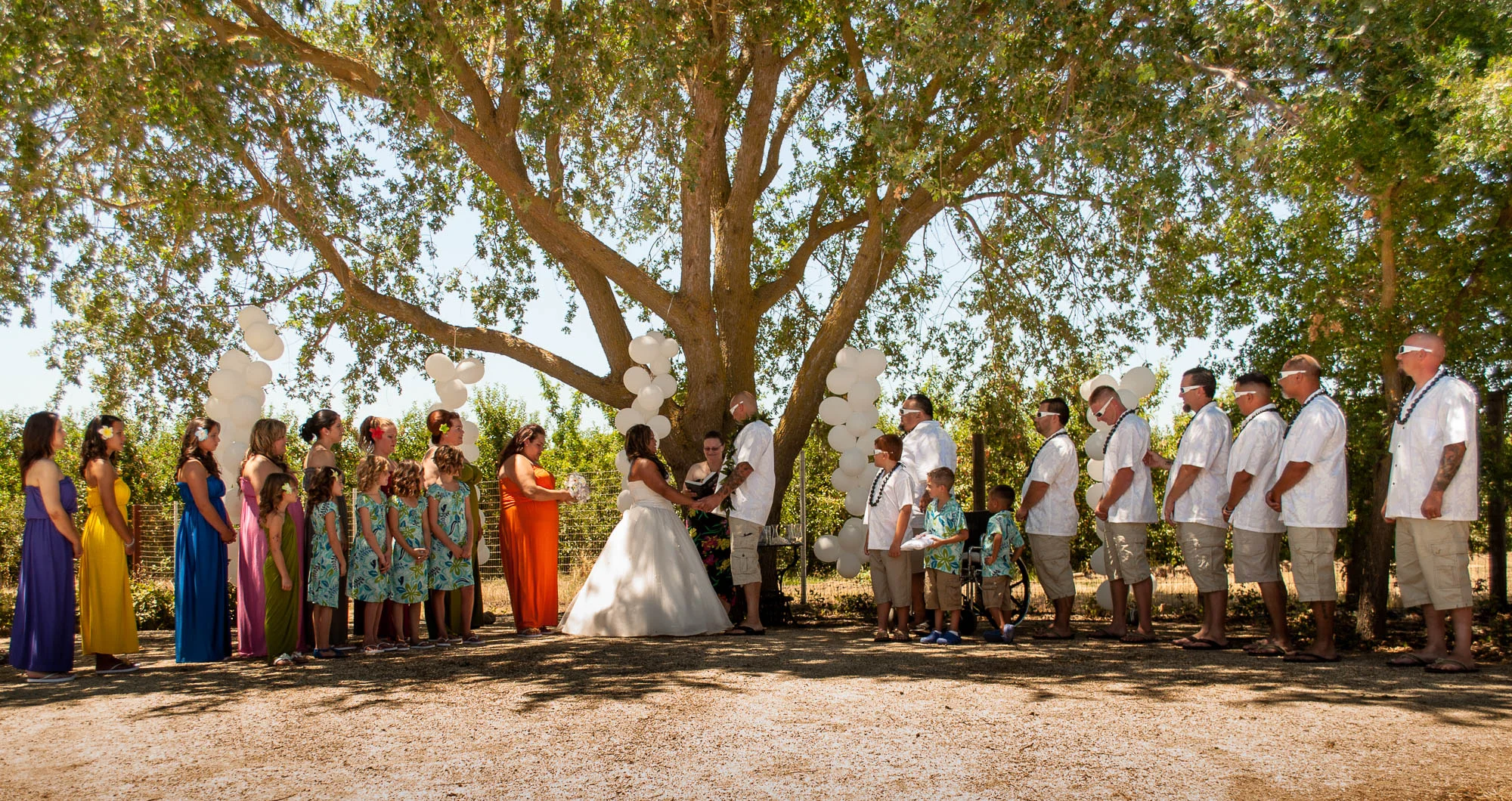 The wedding party. 