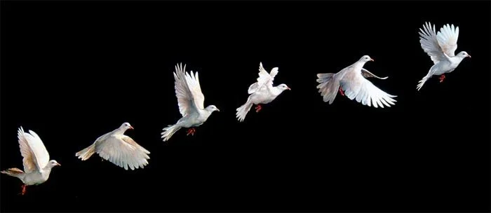 a mass for peace
