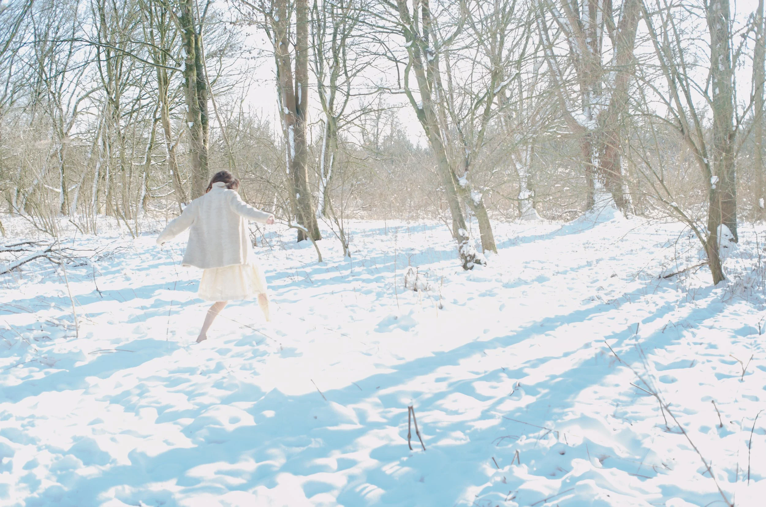 winterreise