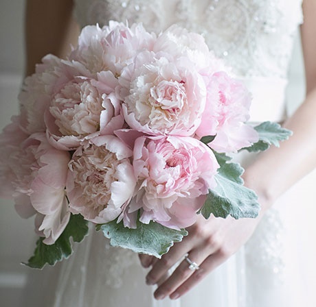 peonies,dusty miller.jpg