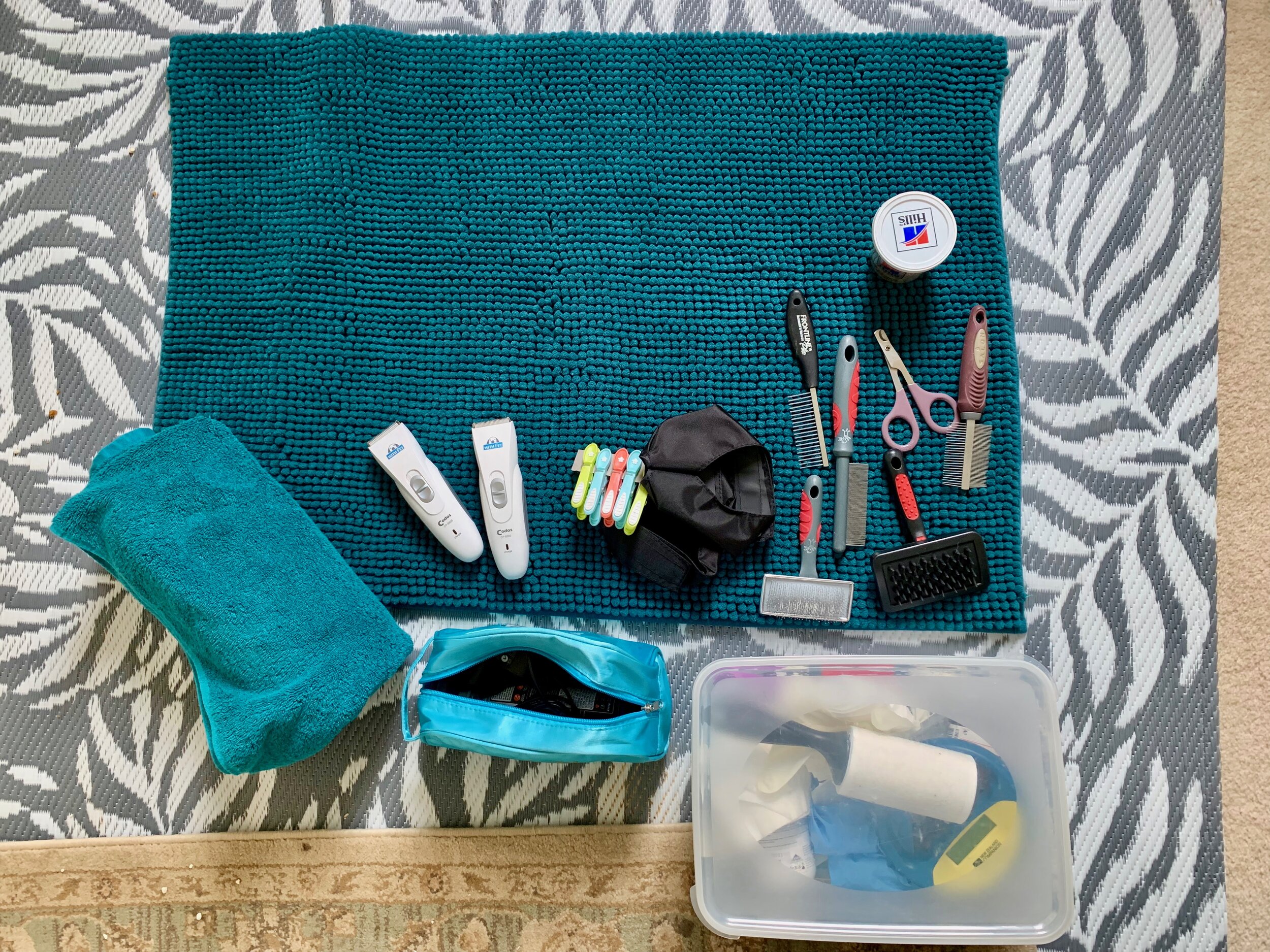 Photo inspiration: Gallery Detail: Mobile Cat Grooming In Auckland Veterinary Nurse Services