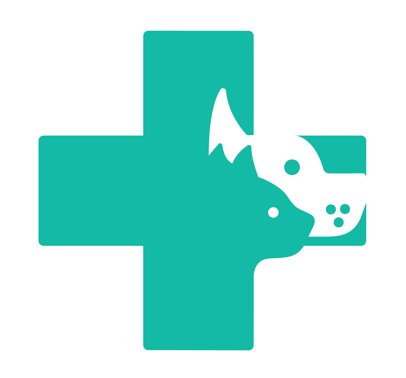 Vet Nurse Services Gift Card