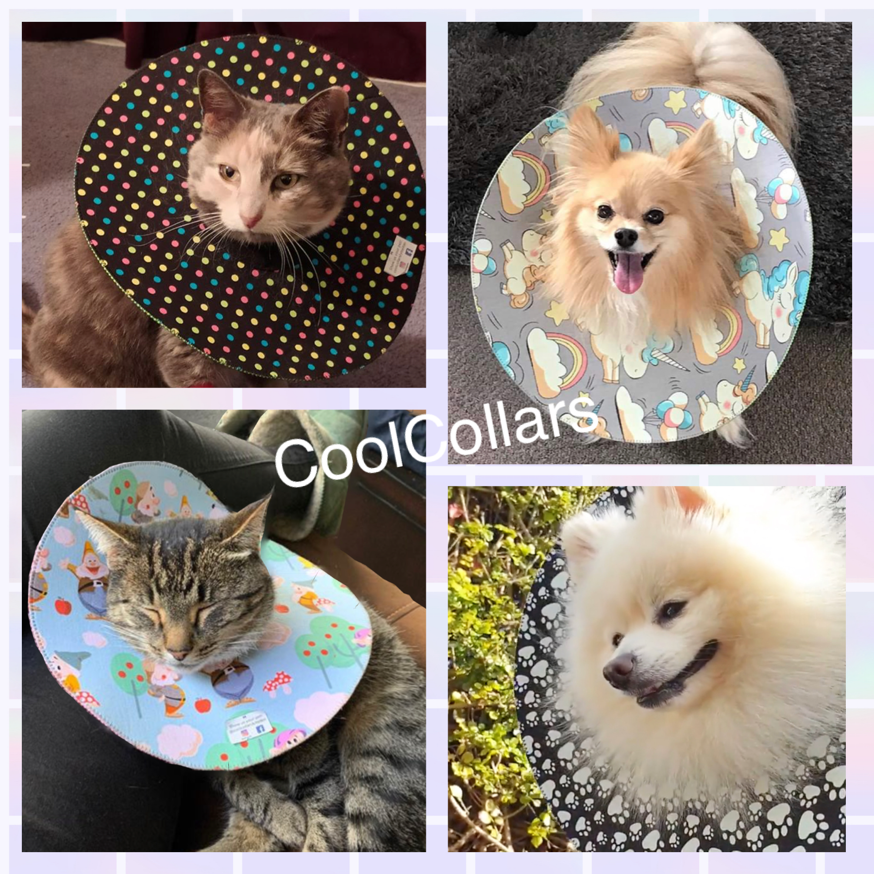 Cool Collars! Soft elizabethan collars for your pet