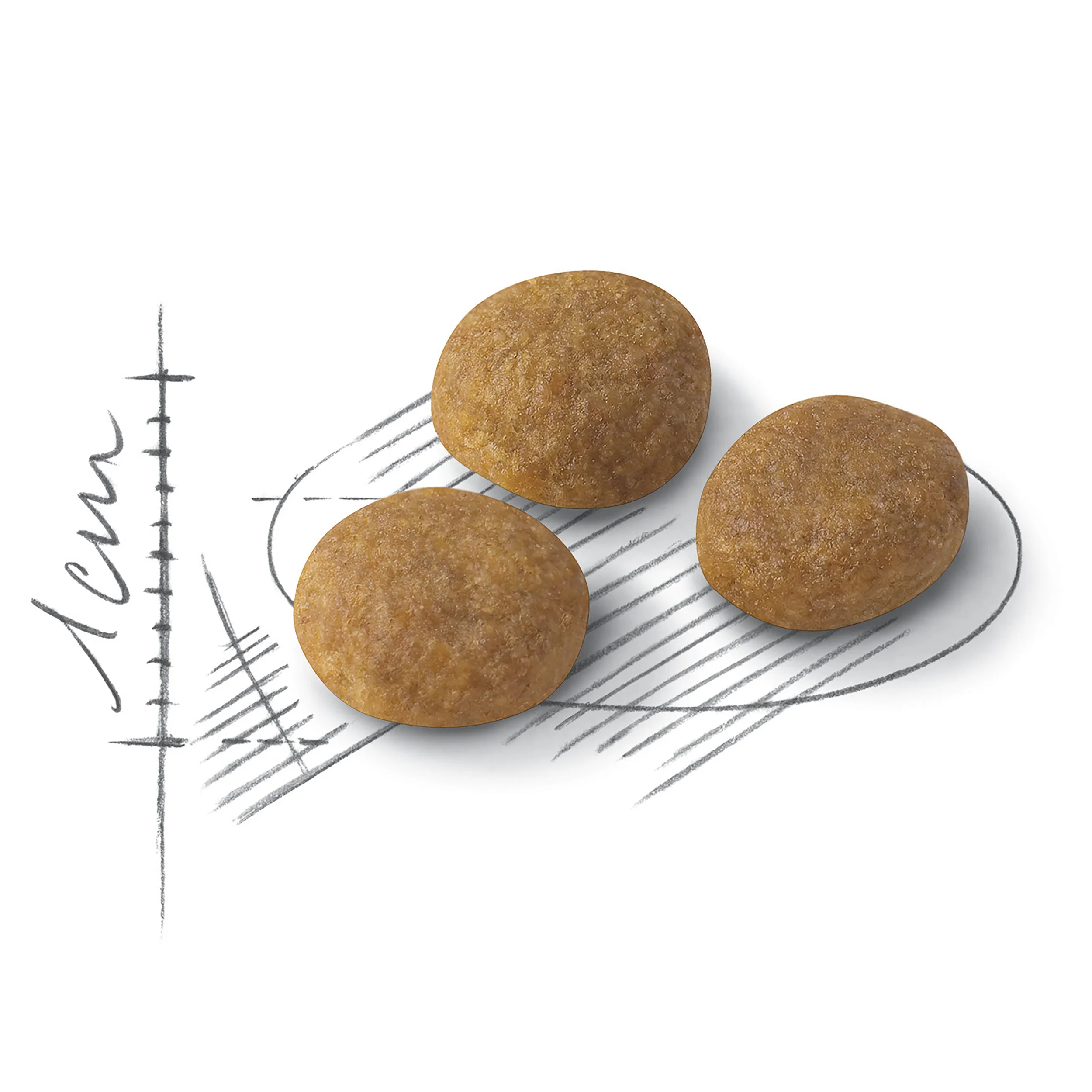 Royal Canin Aroma Exigent-8.jpg