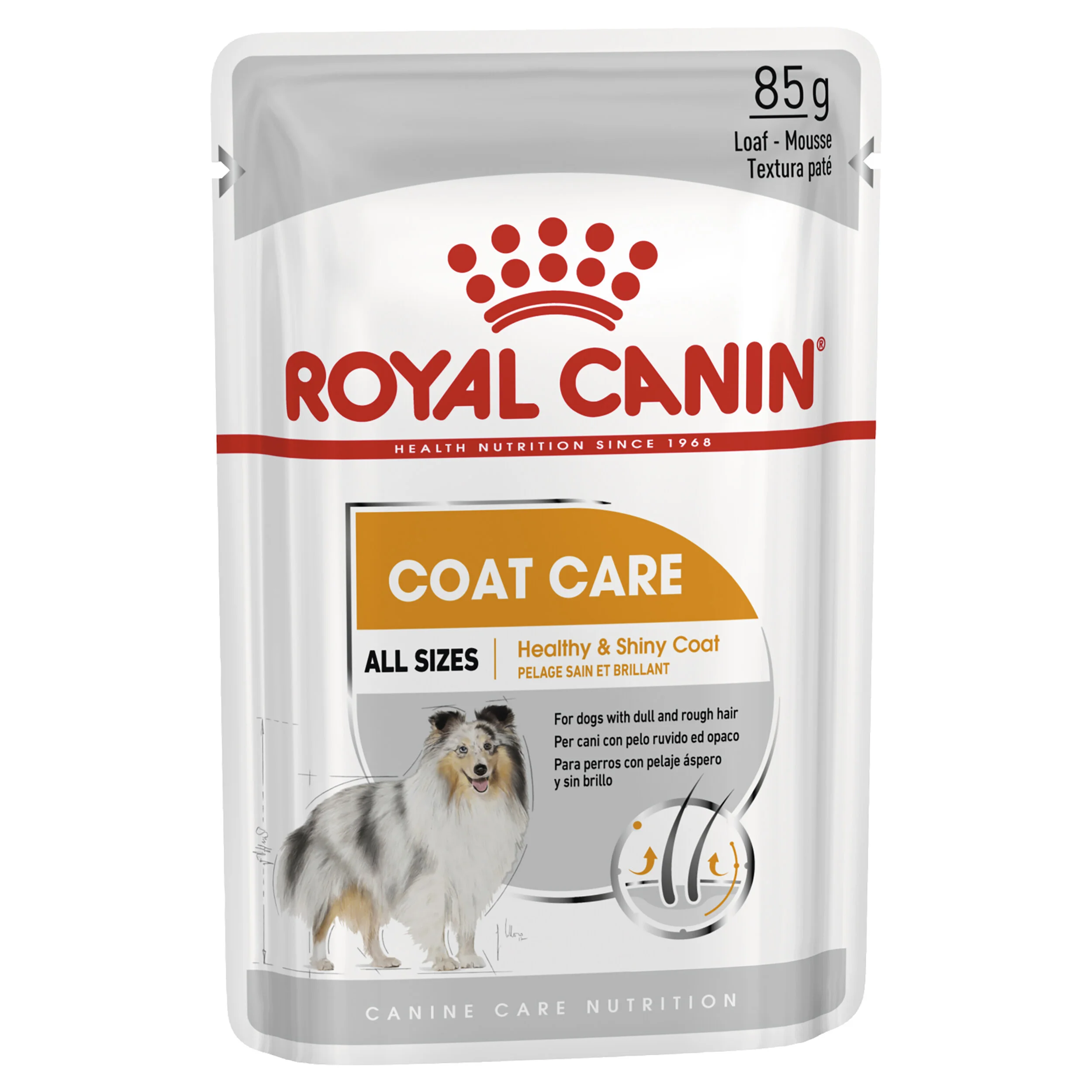 Royal Canin Coat Care Loaf-1.jpg