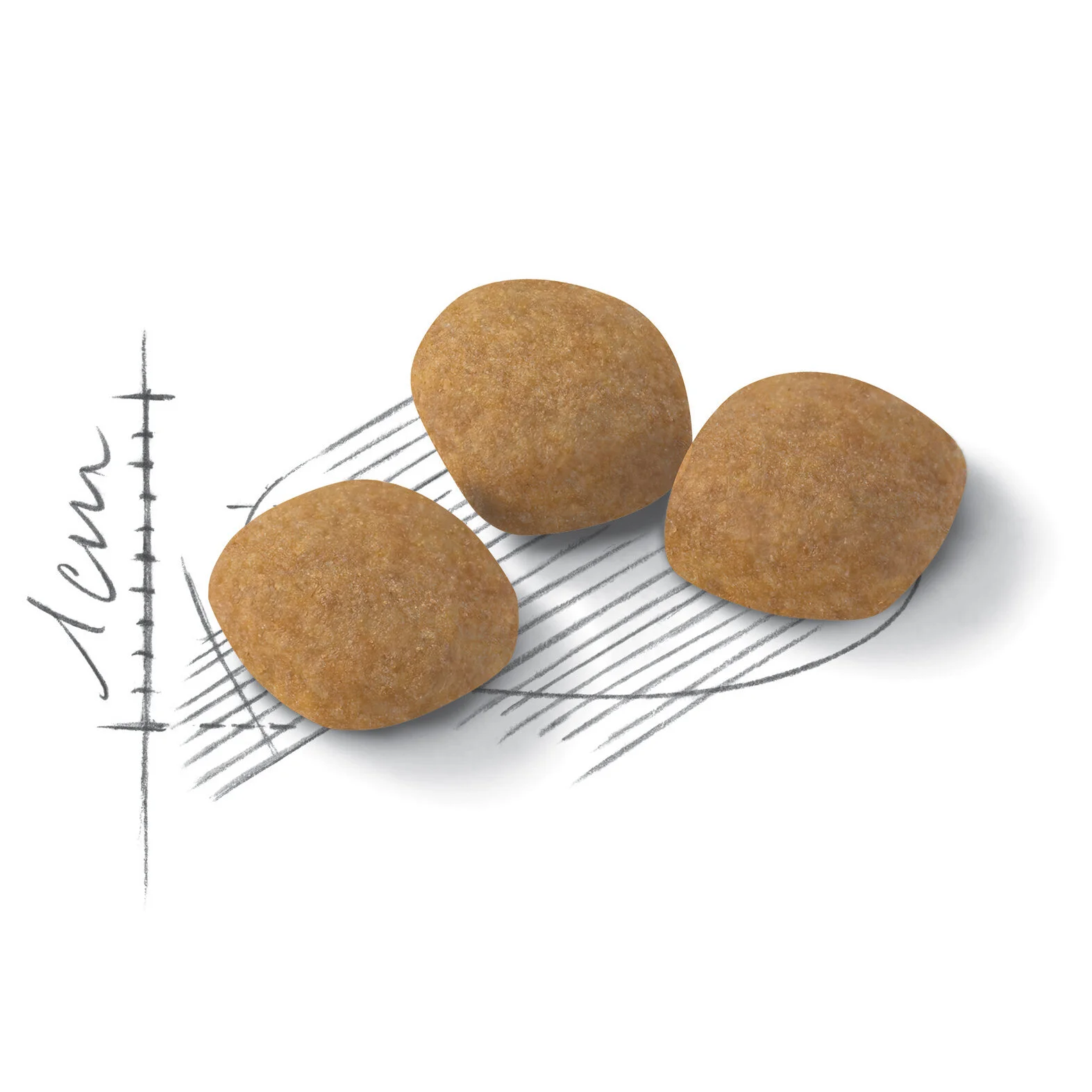 Royal Canin Exigent Protein Preference-8.jpg