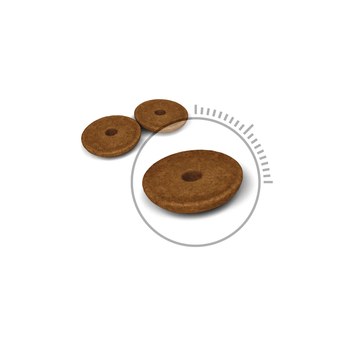 Royal Canin Feline Digestive Care-7.jpg