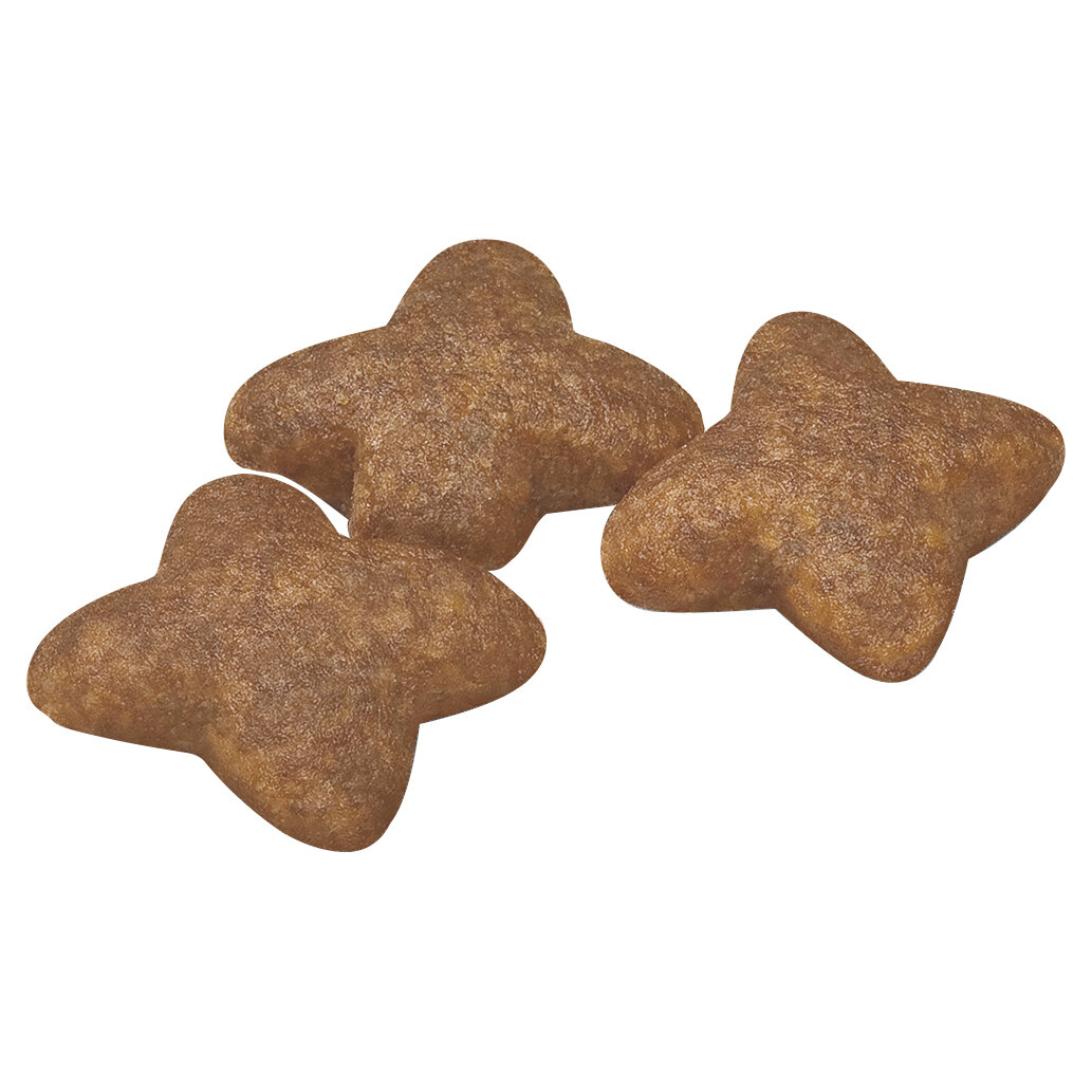 Royal Canin Mini Adult-4.jpg