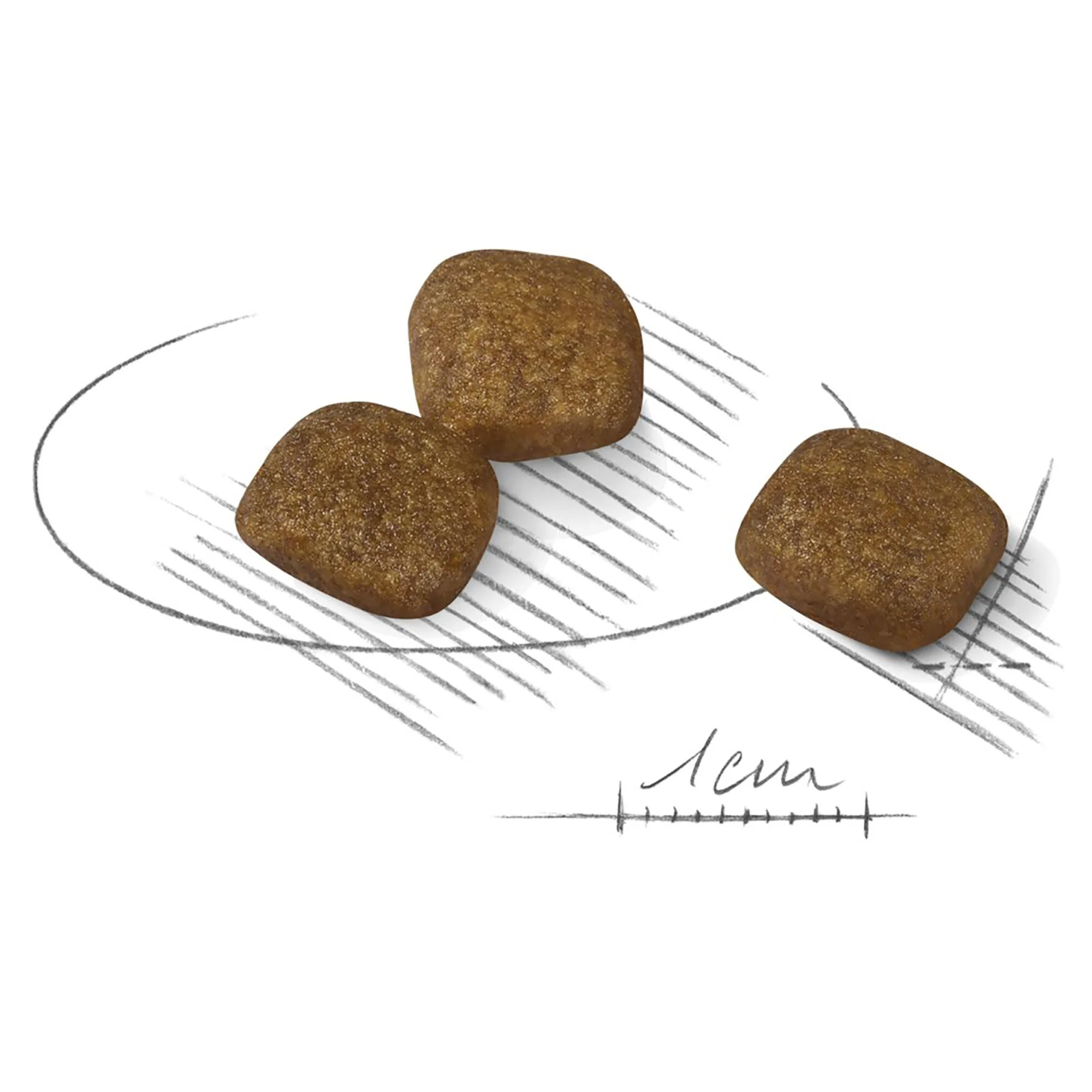 Royal Canin Mini Coat Care-7.jpg