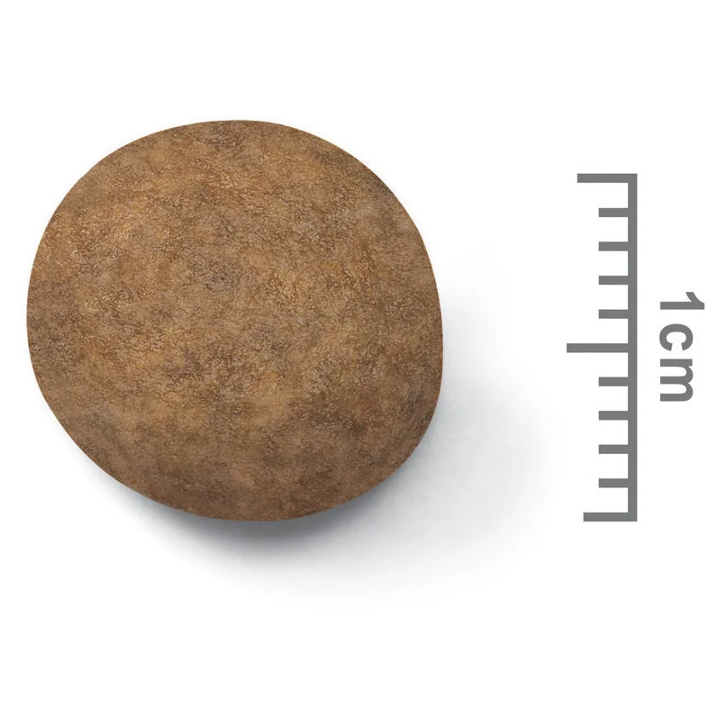 Royal Canin Maxi Puppy-4.jpg