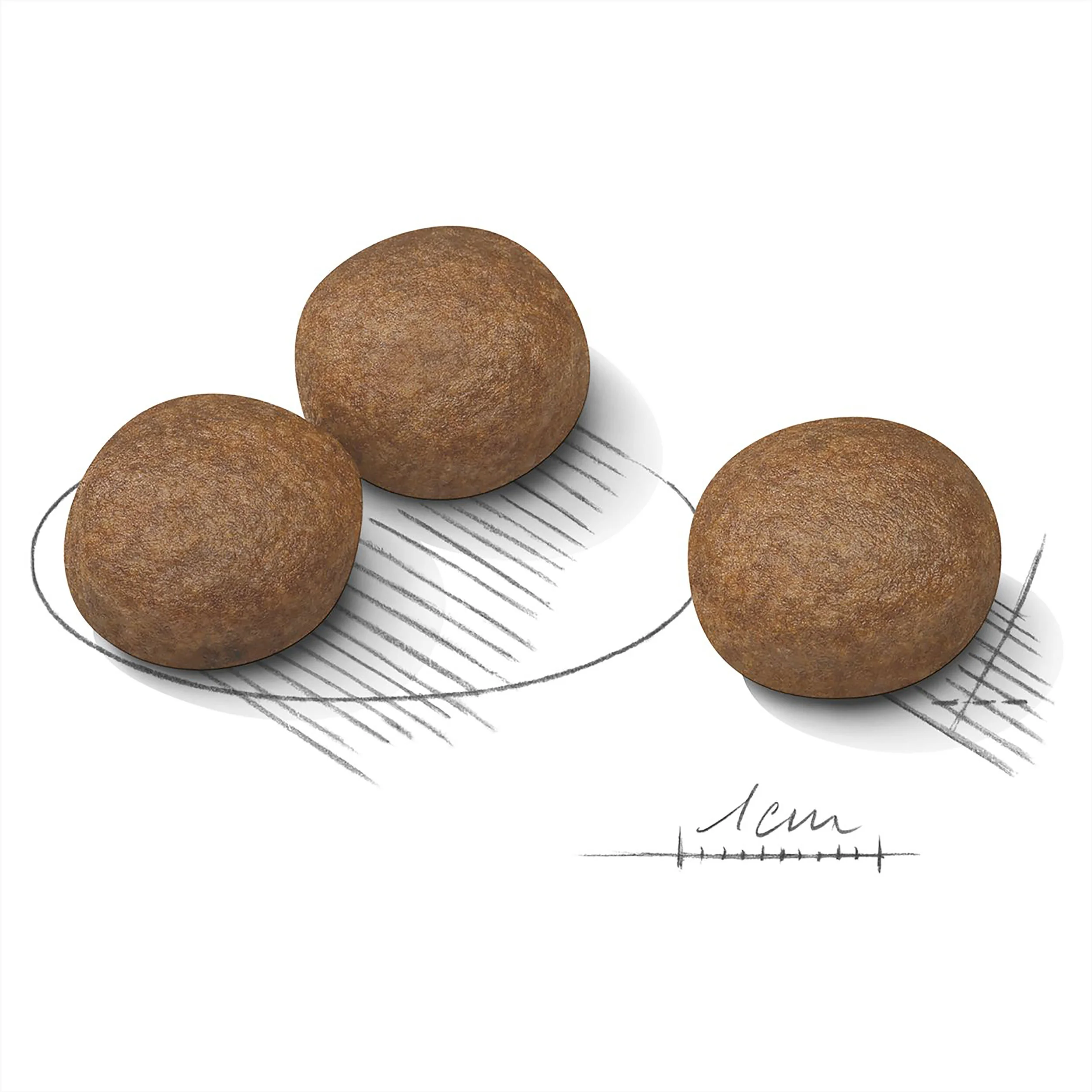 Royal Canin Medium Digestive Care-7.jpg