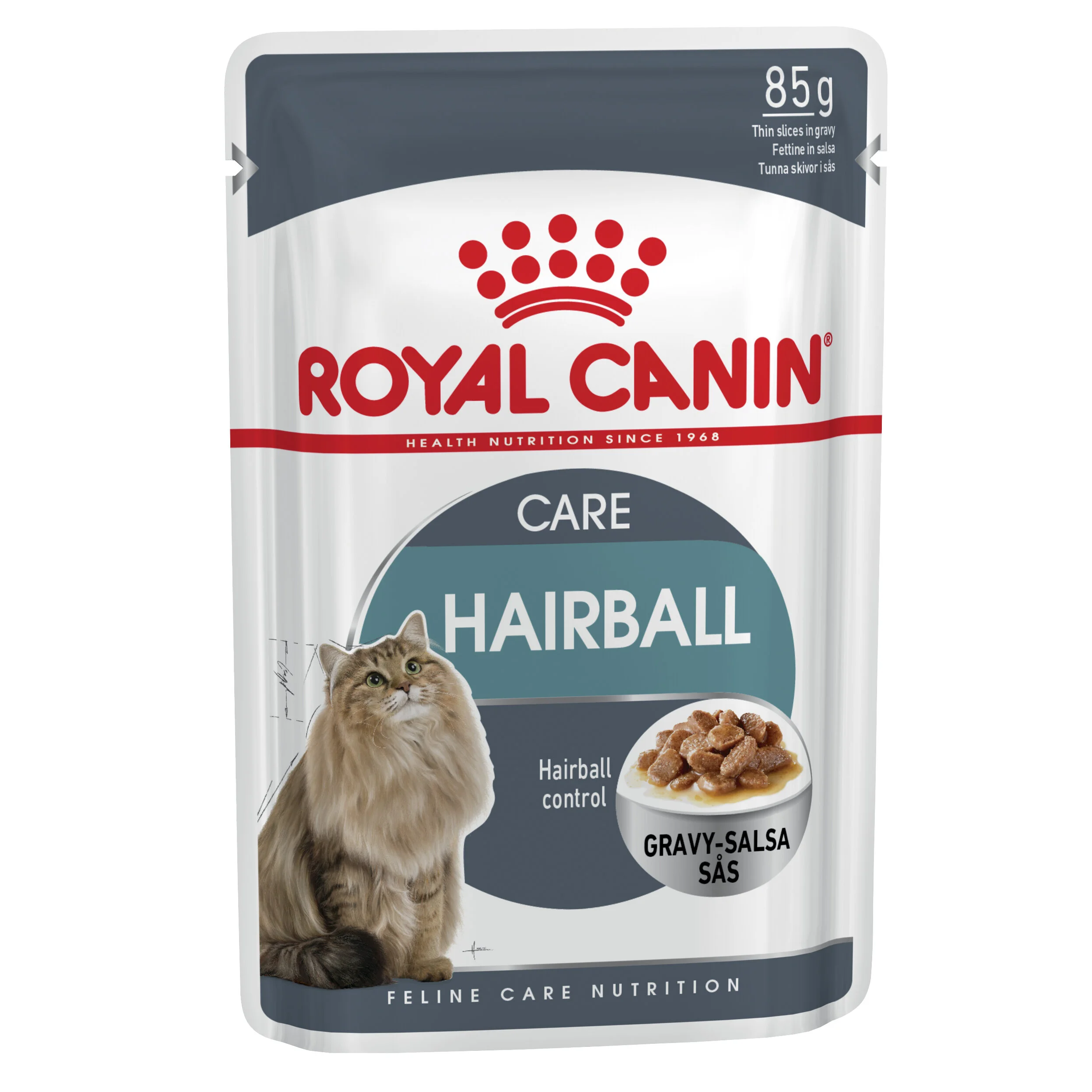 Royal Canin Hairball Care In Gravy-2.jpg