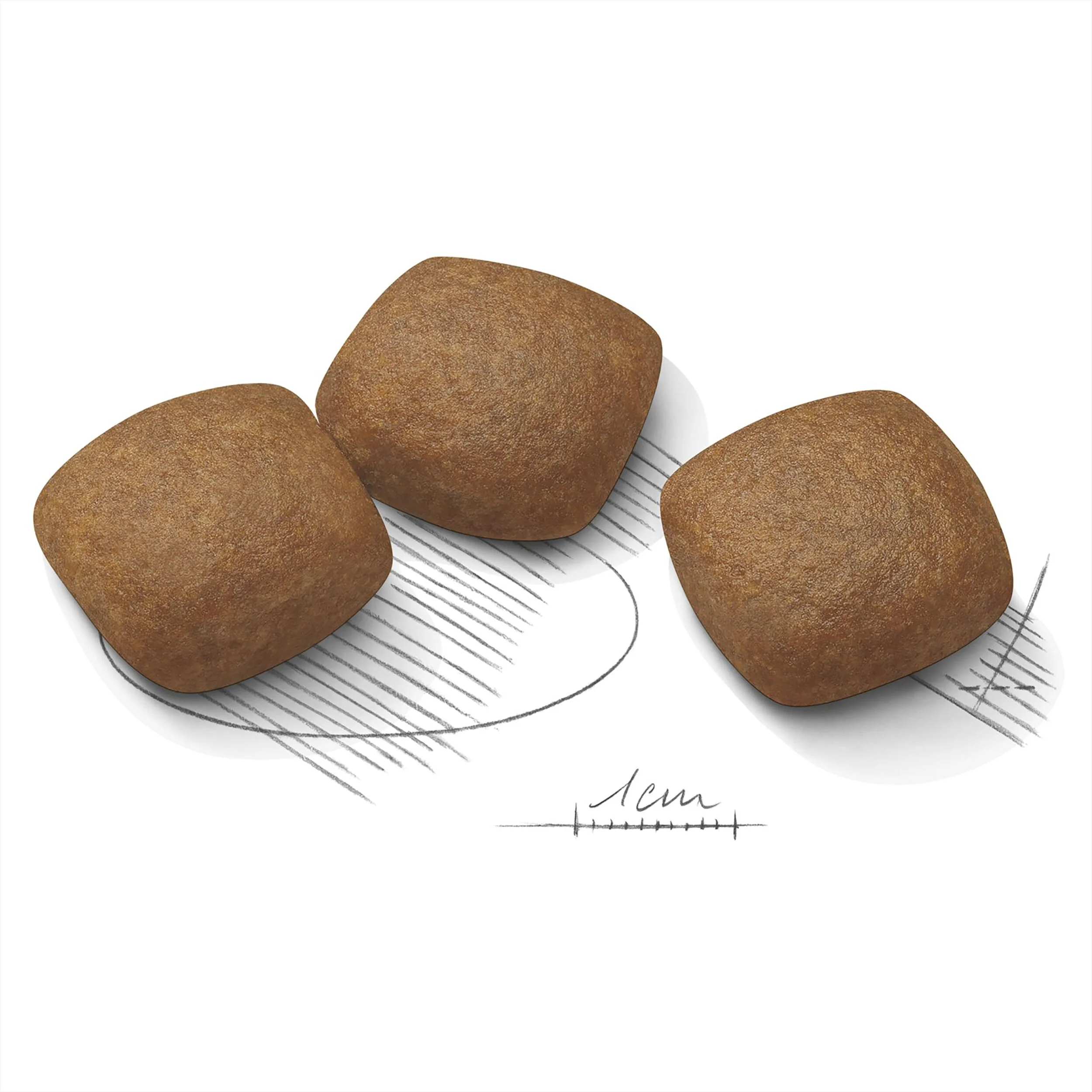 Royal Canin Maxi Joint Care-7.jpg