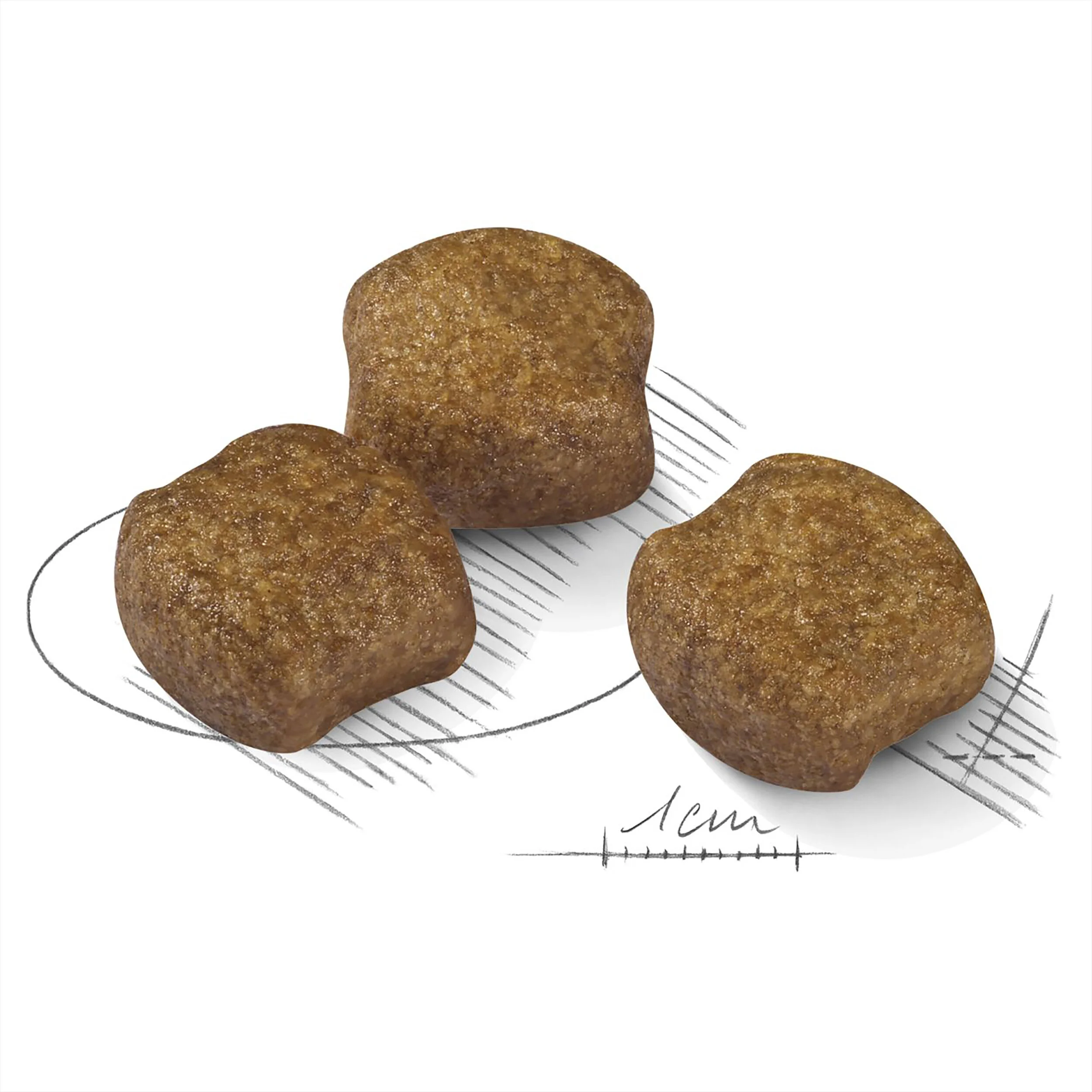 Royal Canin Medium Dental Care-7.jpg