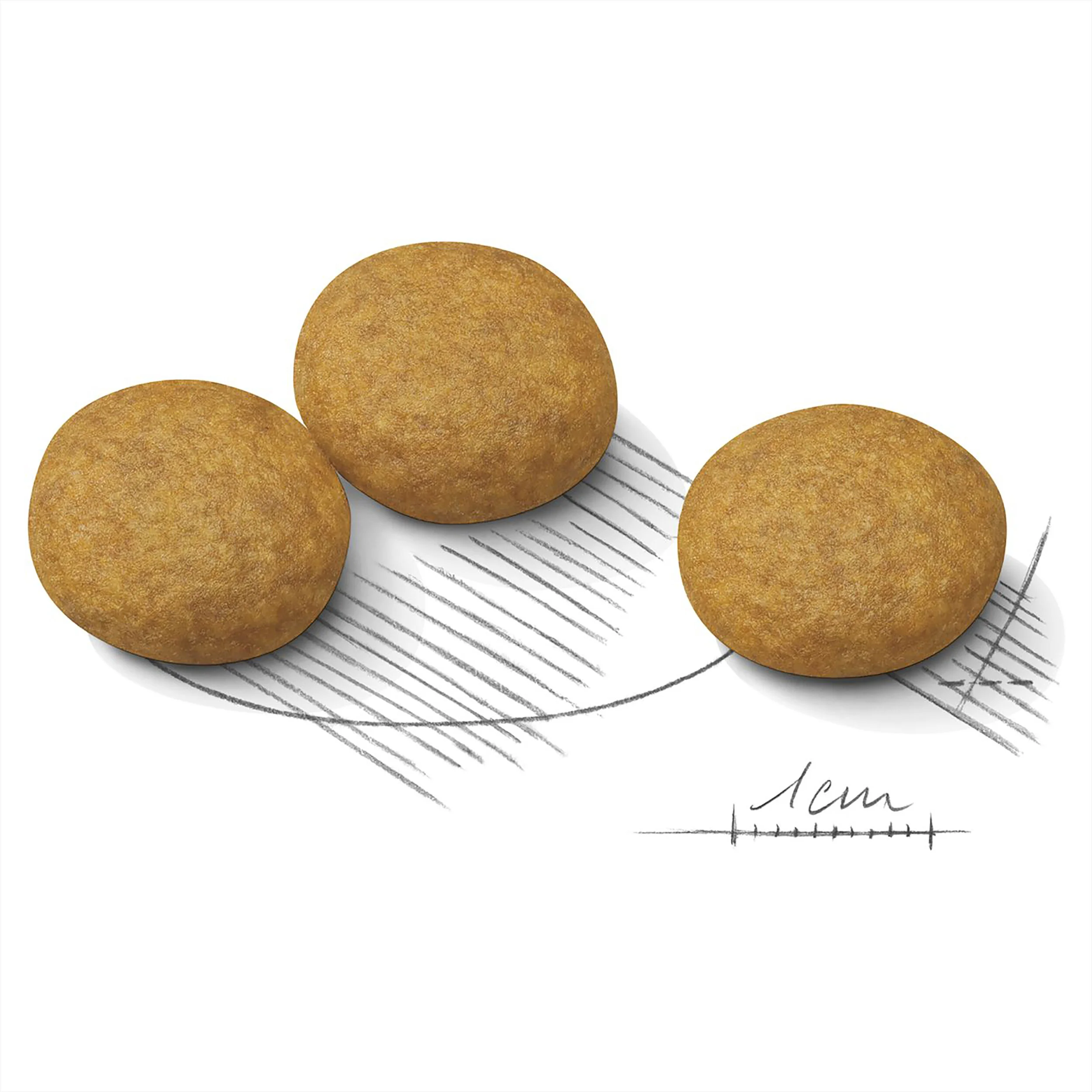 Royal Canin Medium Dermacomfort-7.jpg