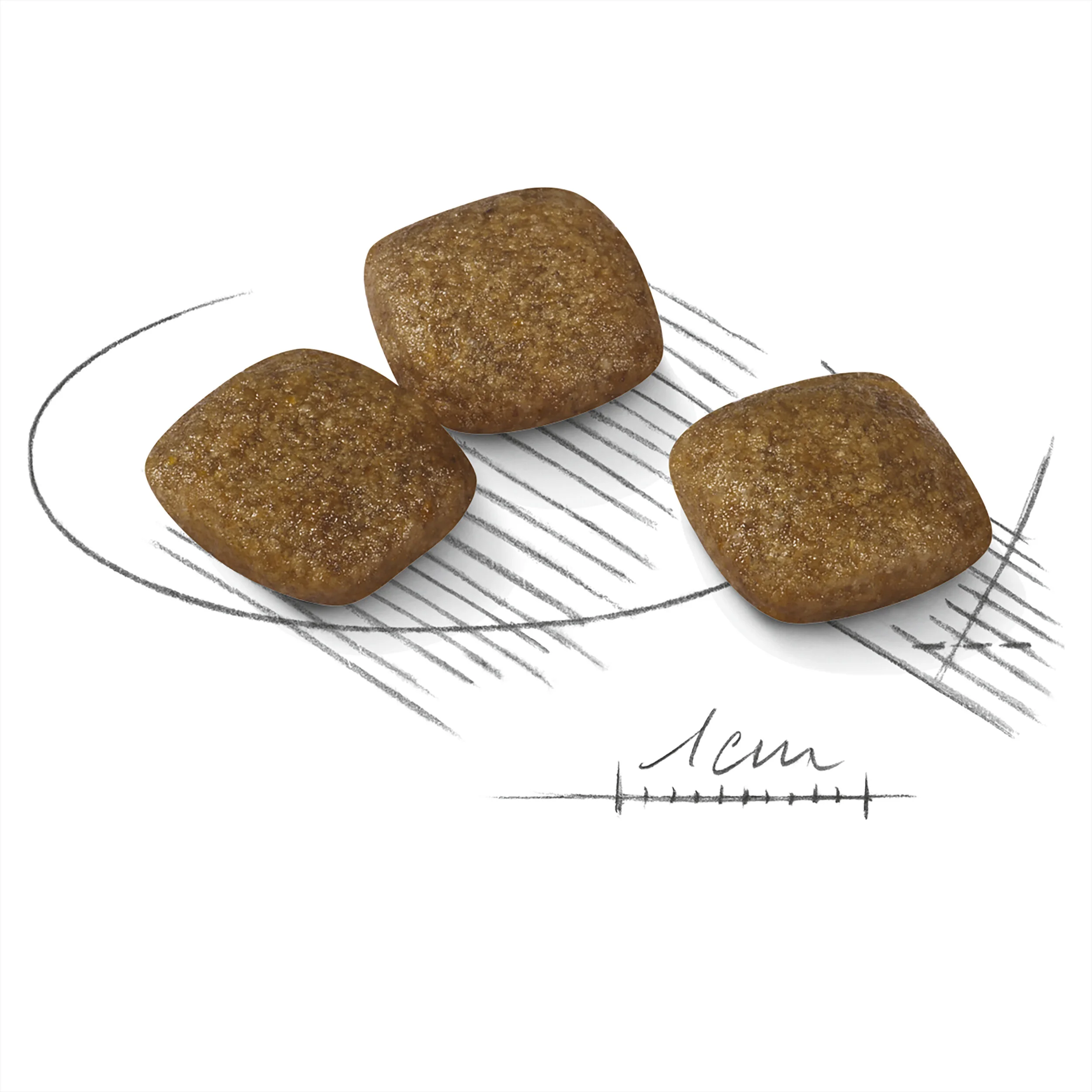 Royal Canin Mini Relax Care-7.jpg