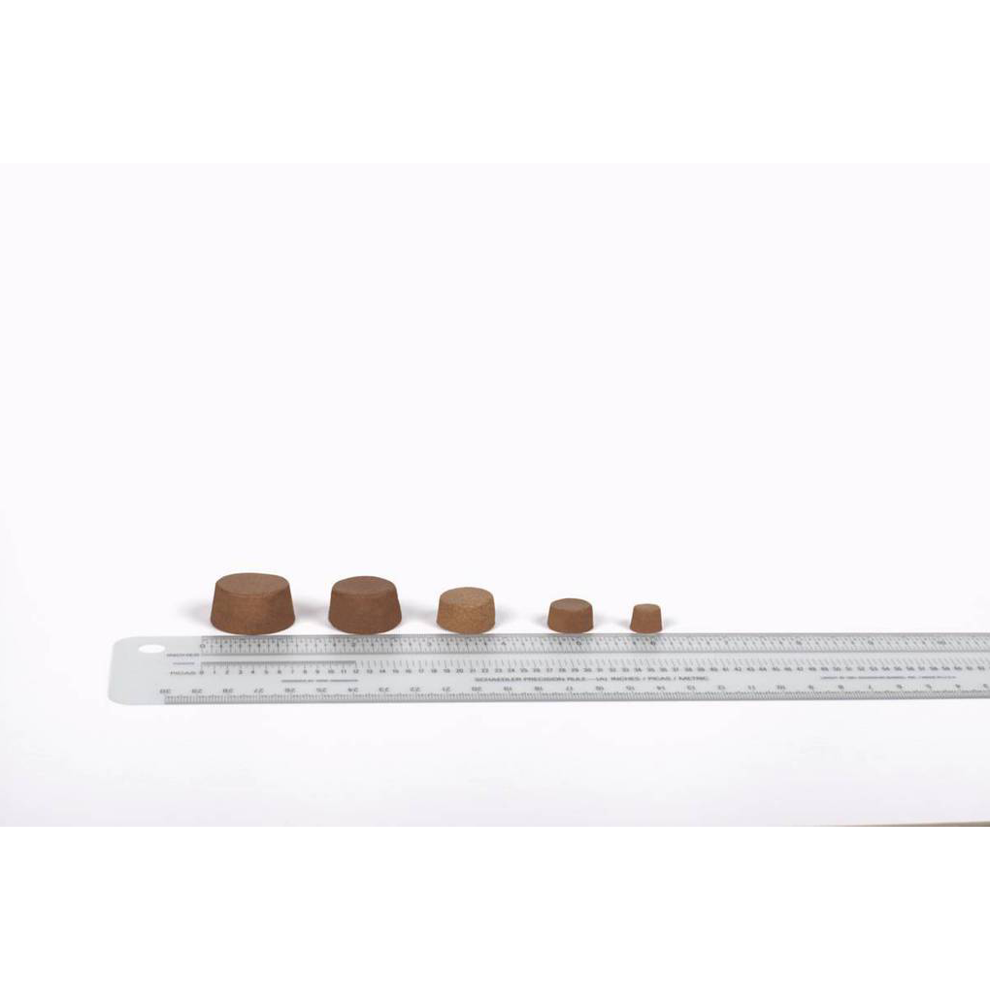 chews ruler.png