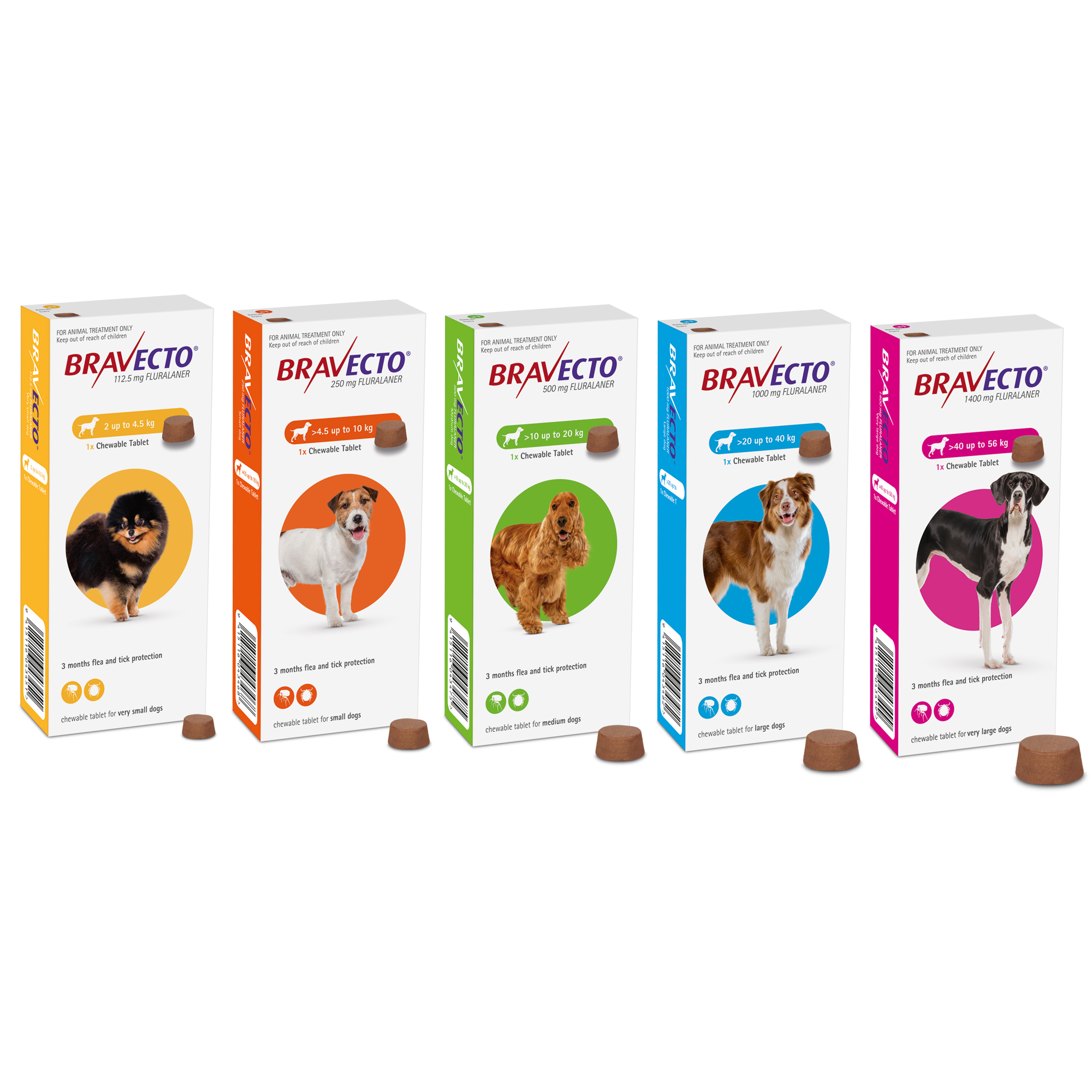 dog group chews.png