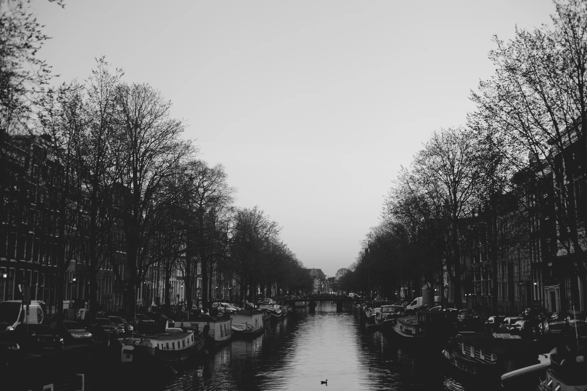 Amsterdam 2017-14.jpg