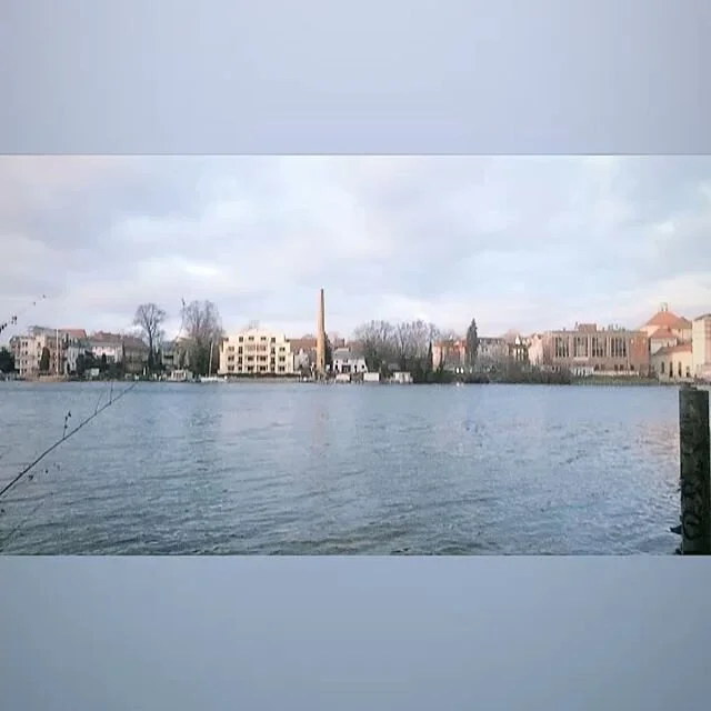 Out with the old ... Wishes for a Happy &amp; Fresh 2020&rsquo;s!