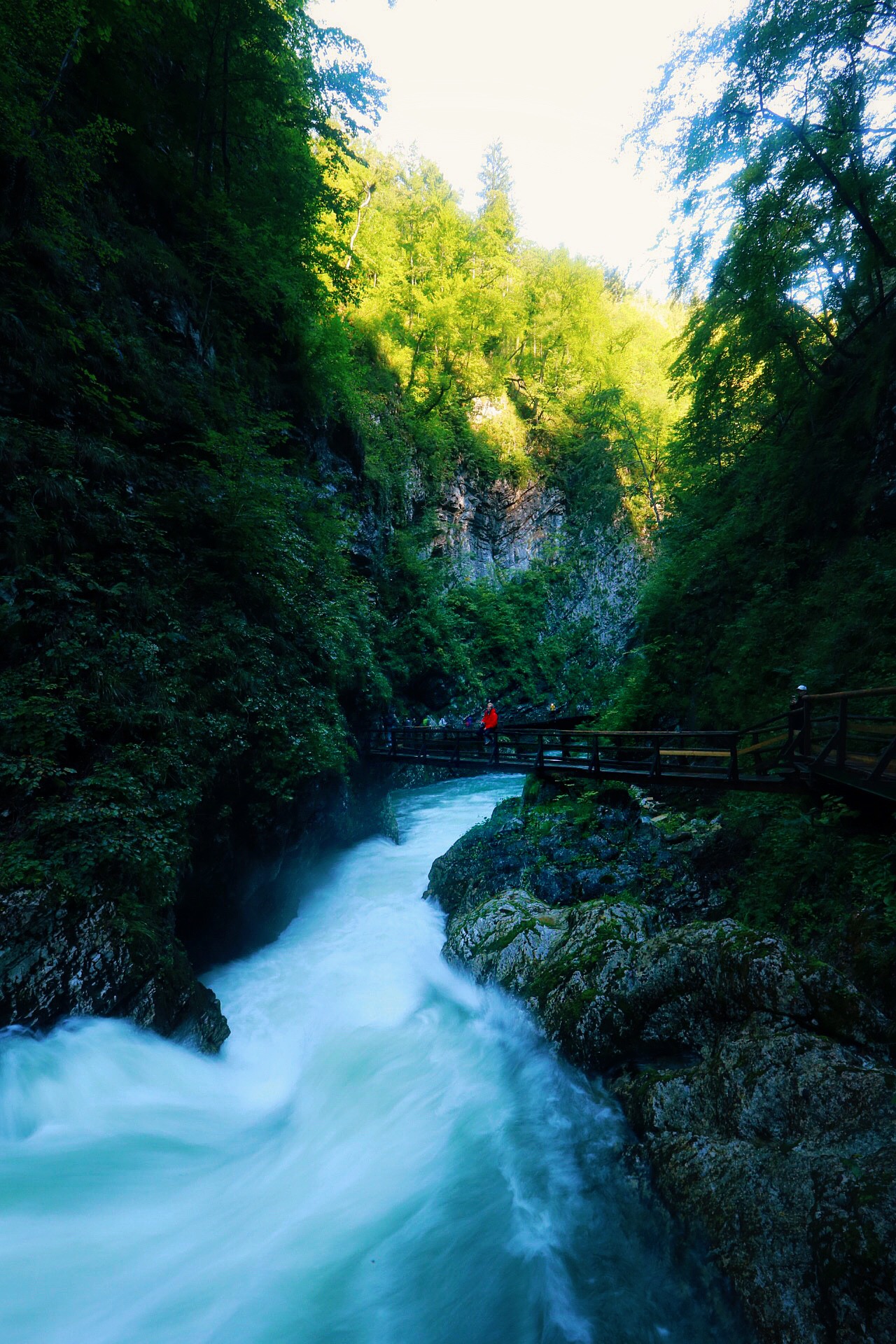 VINTGAR GORGE 5.JPG