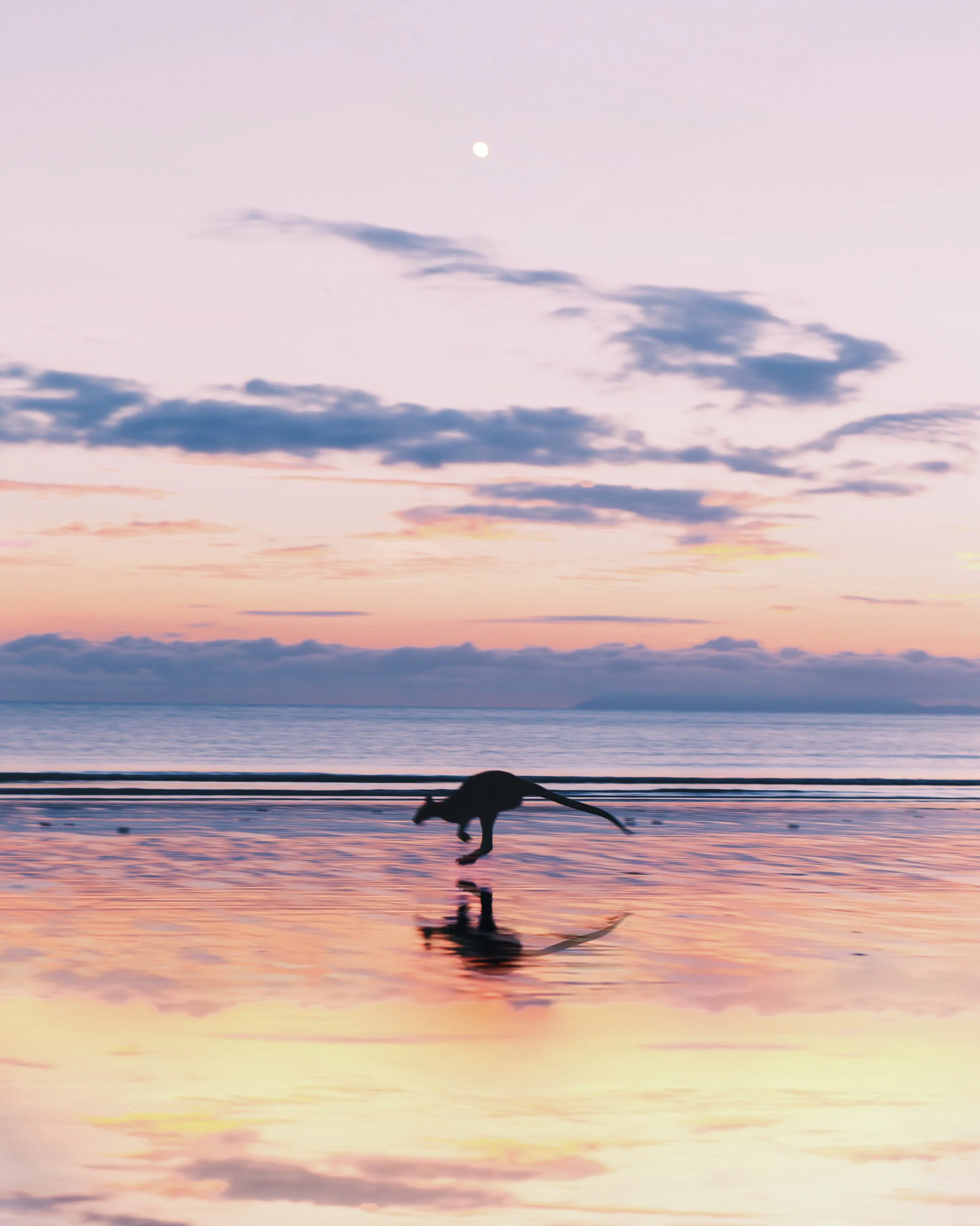 Cape Hillsborough_1.JPG