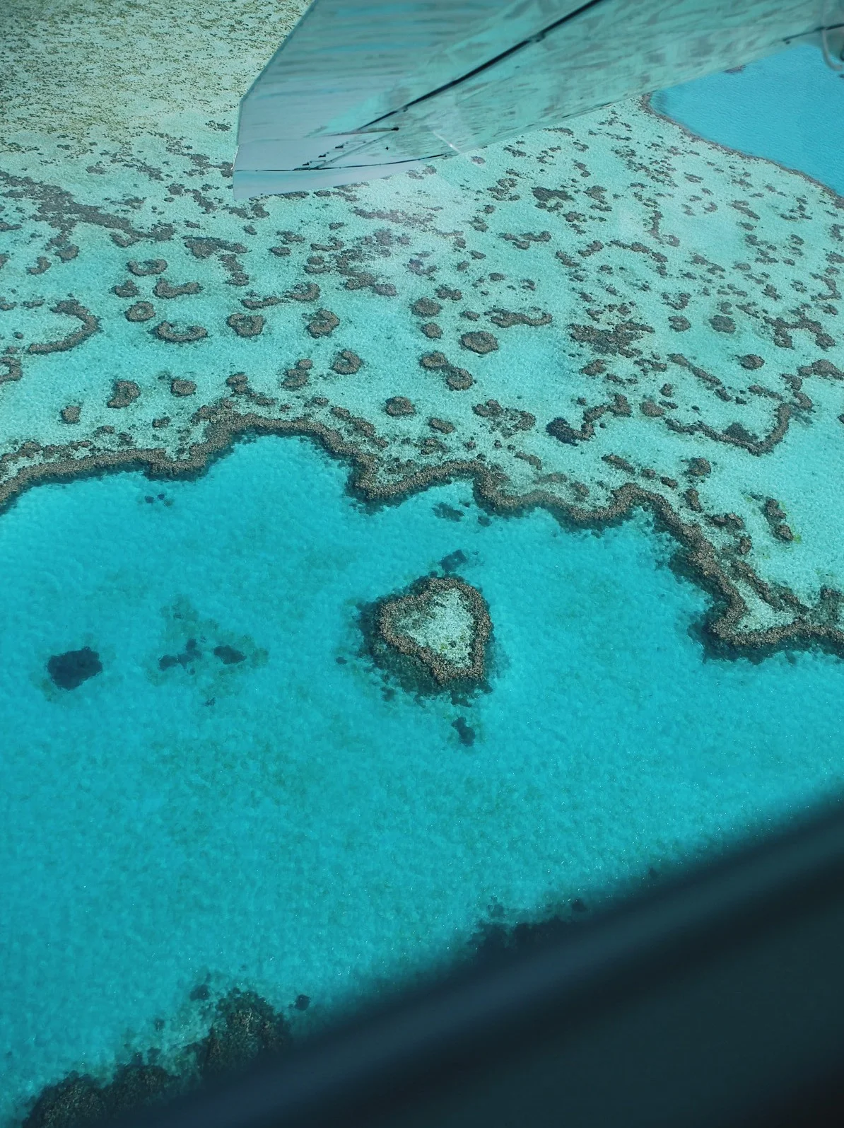Heart Reef, Whitsundays.JPG