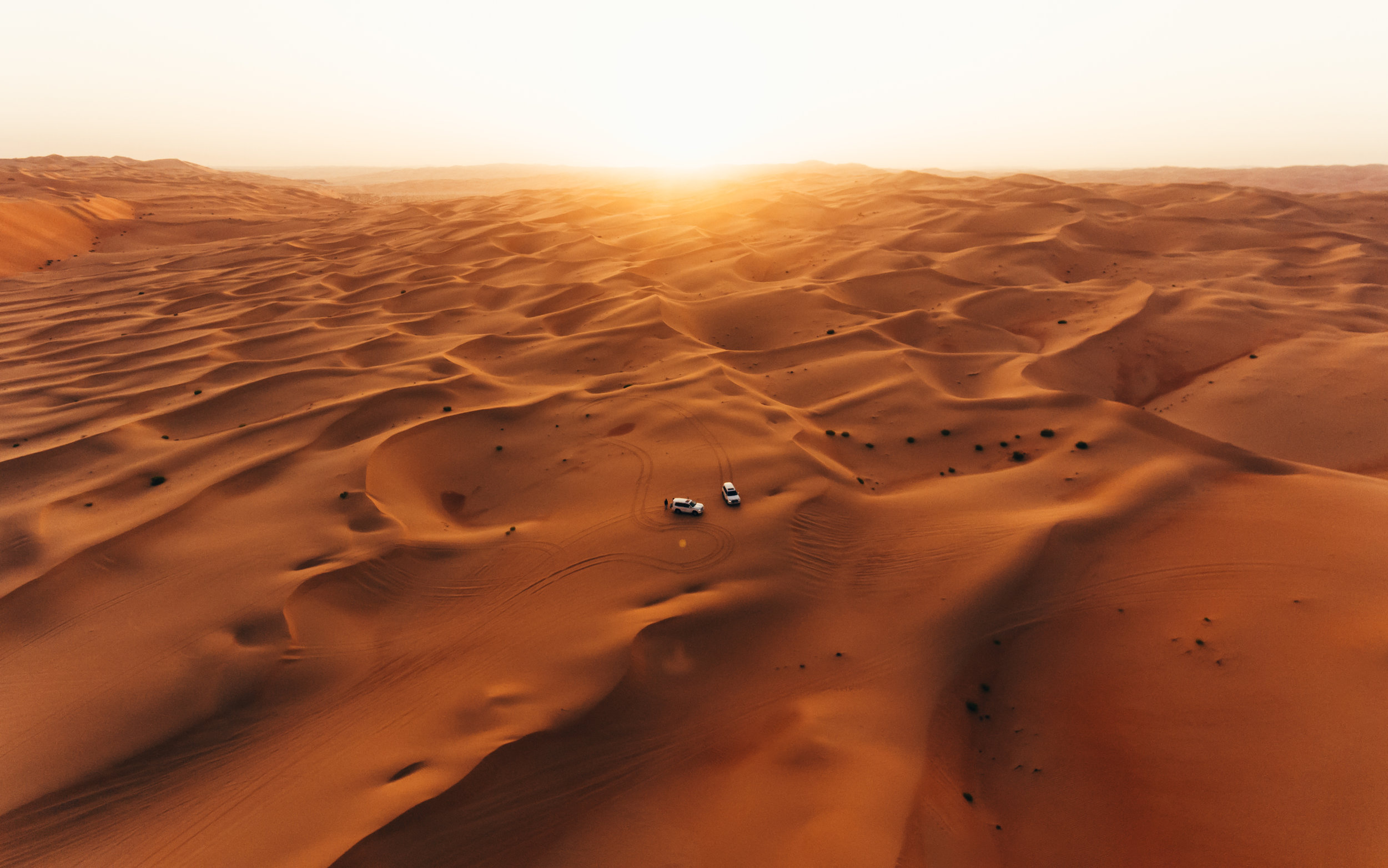 DJI_0300.jpg