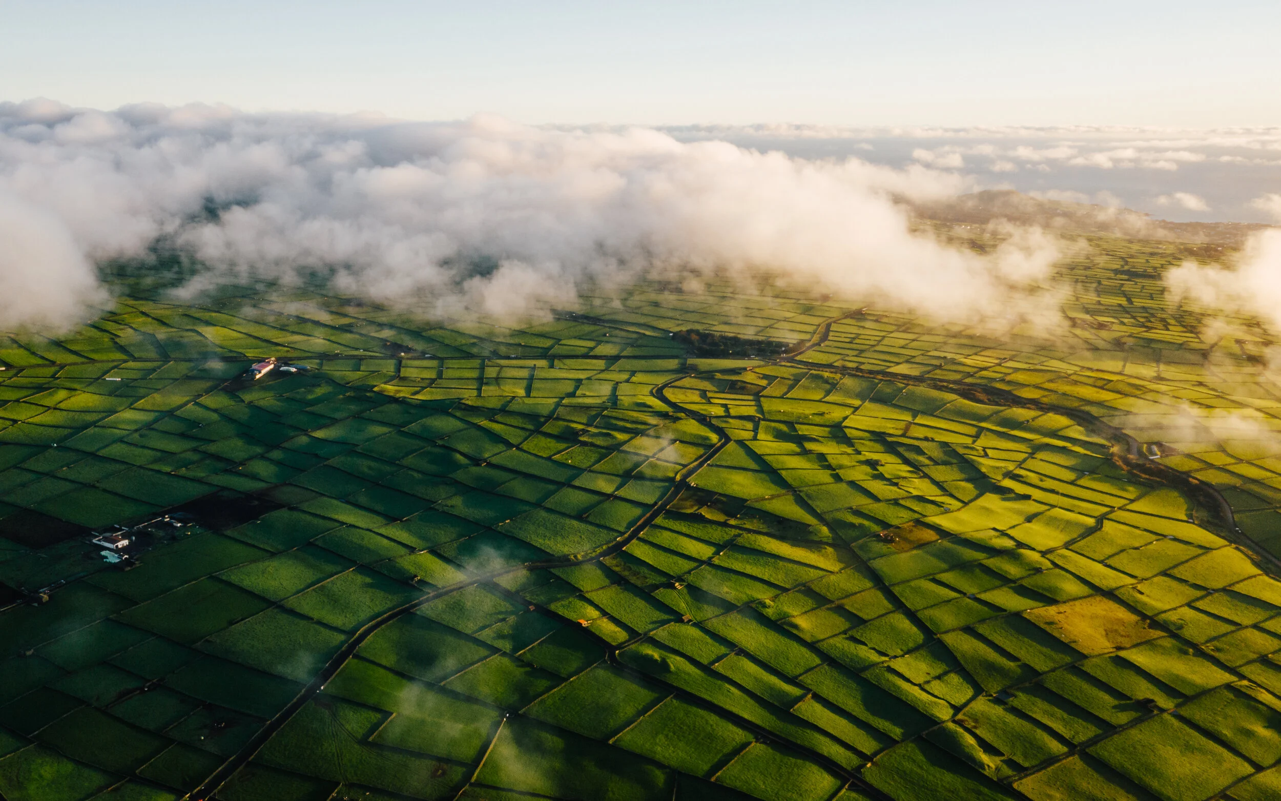 DJI_0259.jpg