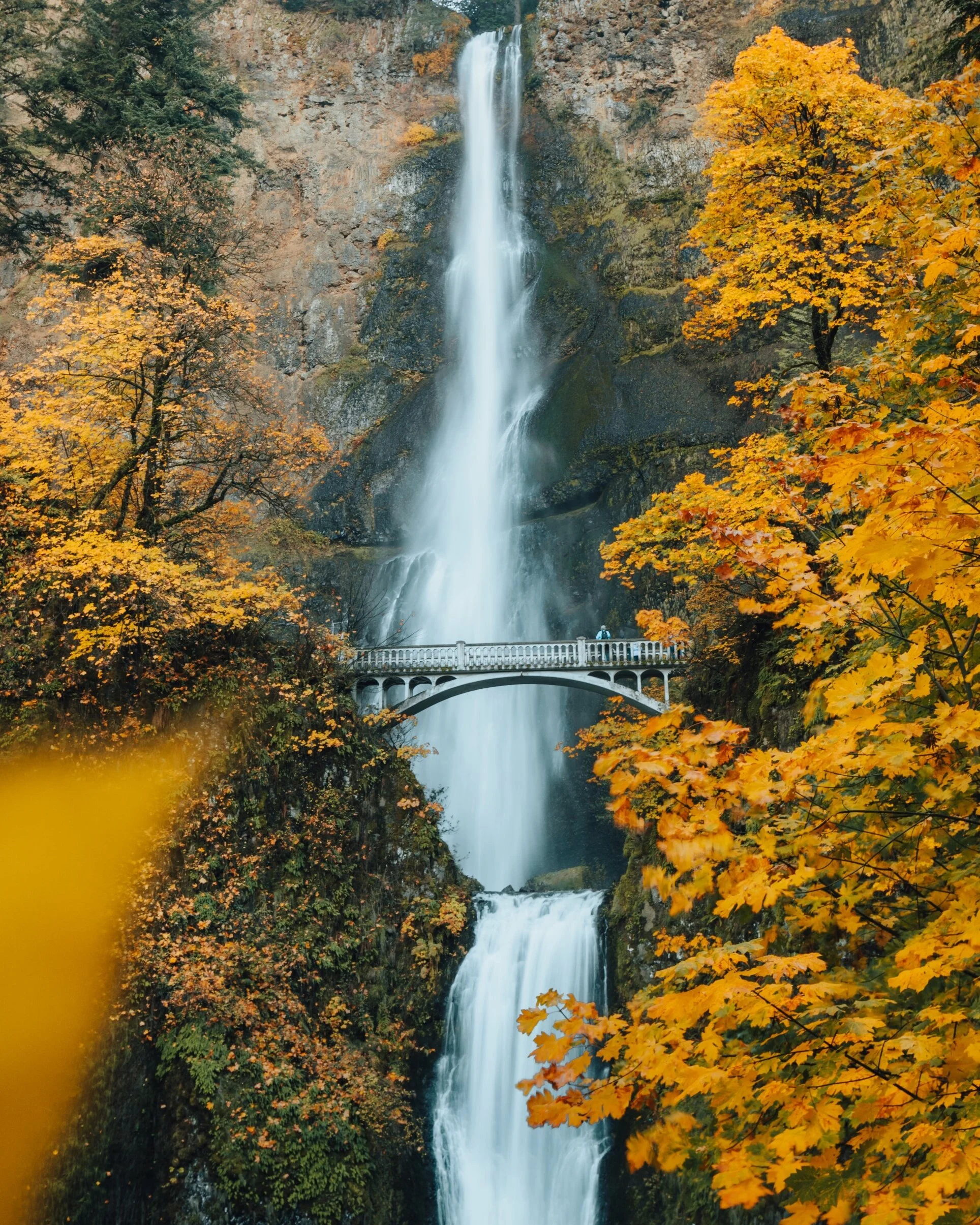 FW2A8688-Edit.jpg