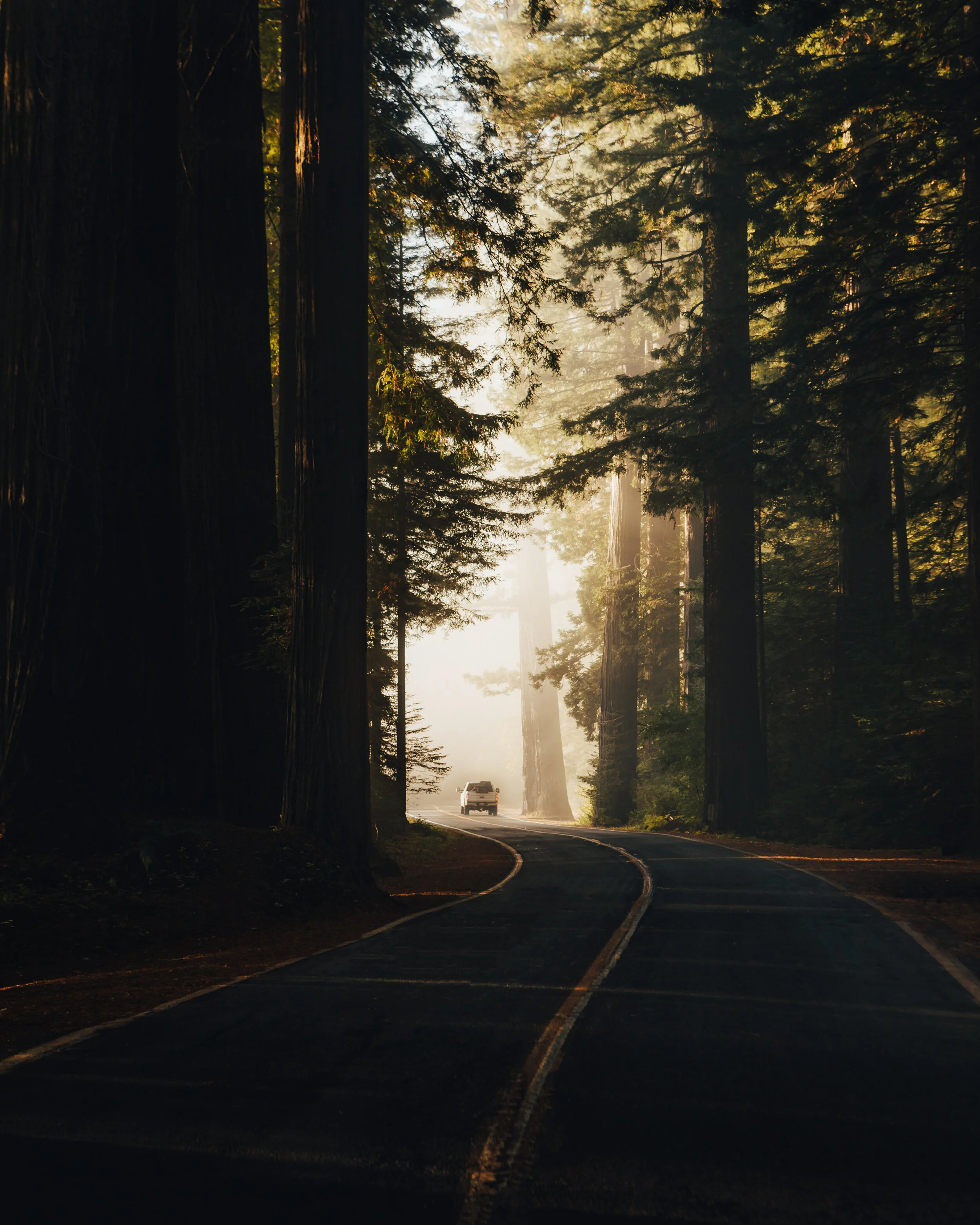 FW2A7451-Edit.jpg