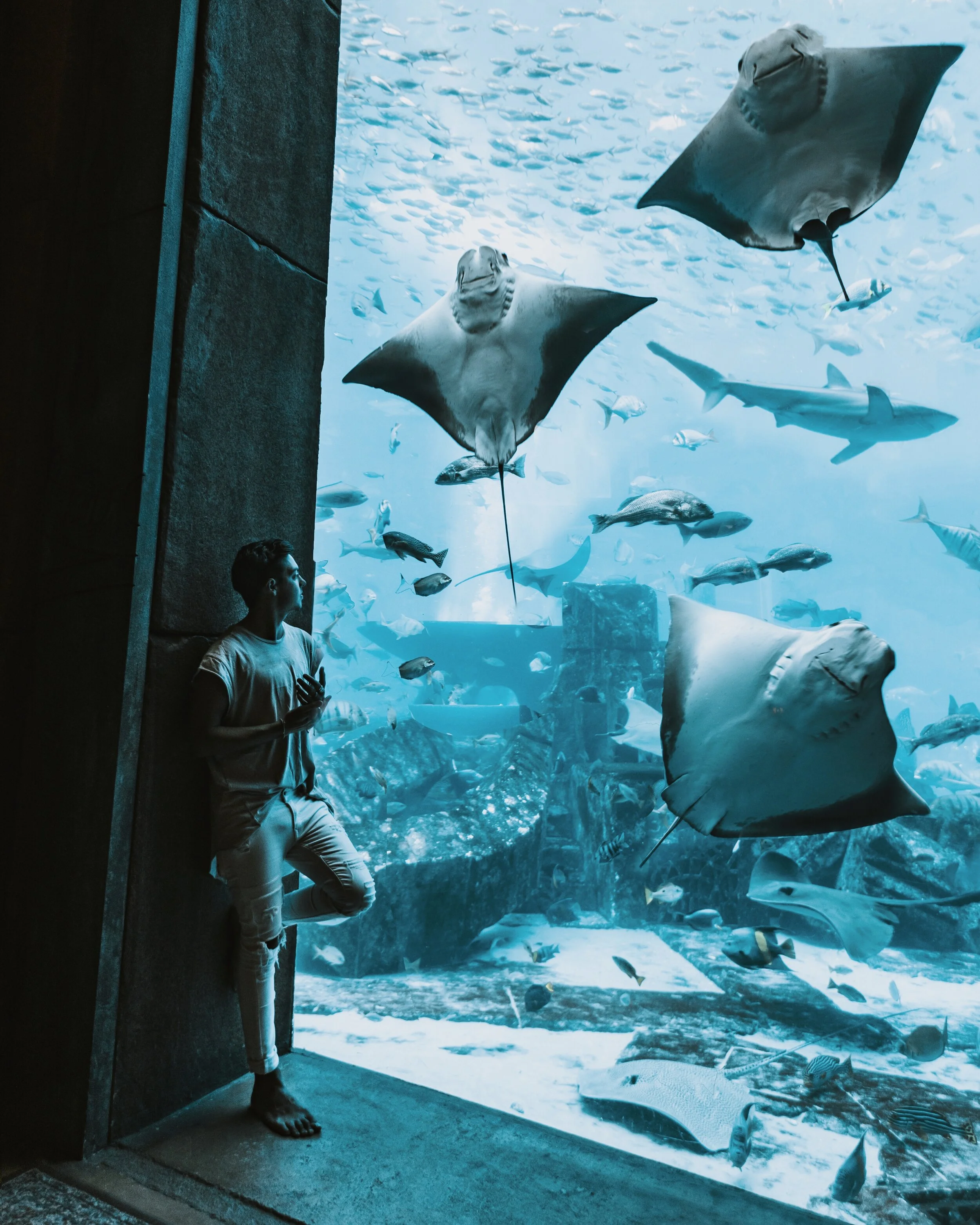 715A41A5-BB08-4EB8-A20A-0945D93DC98E 2.JPG