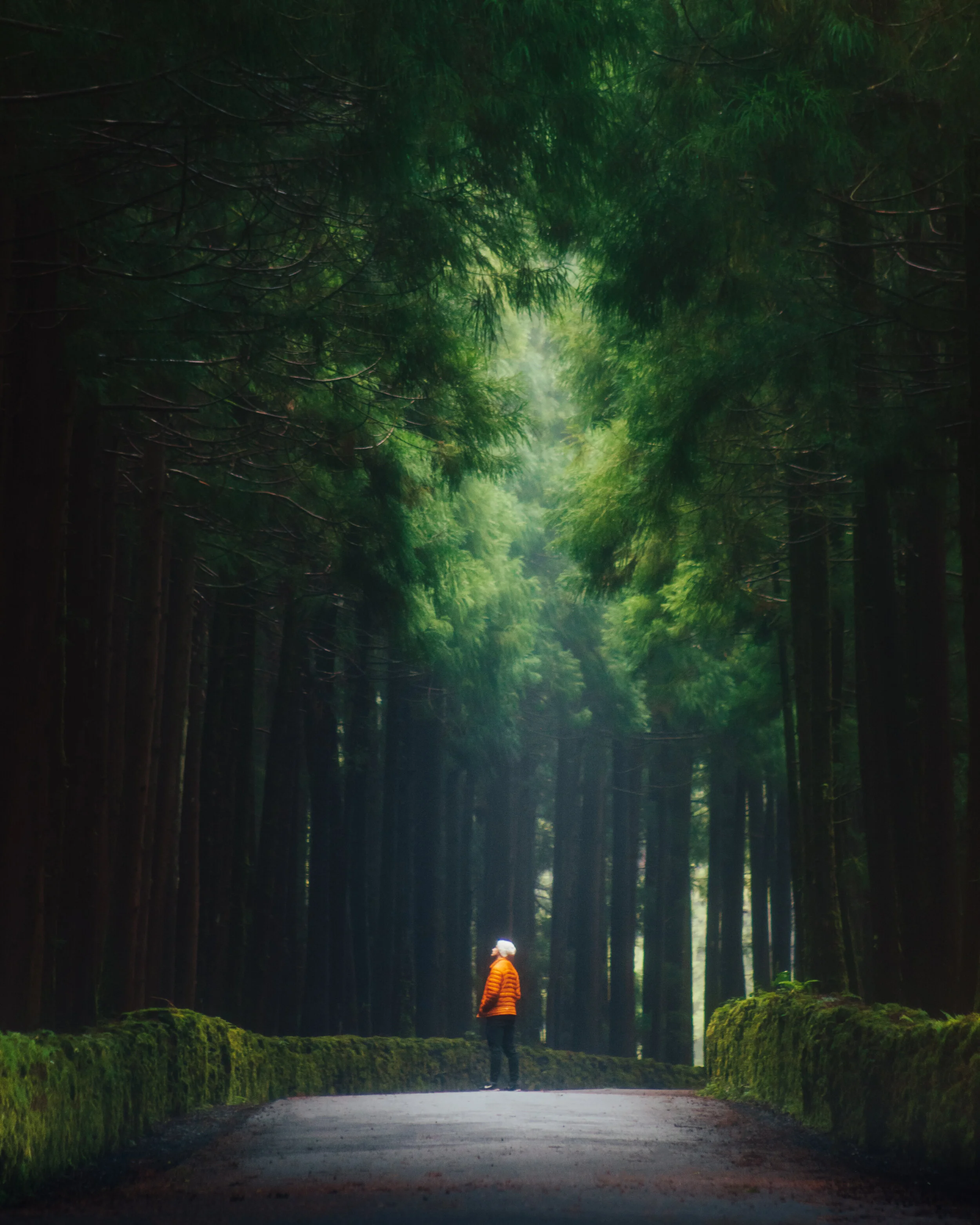 FW2A2985-Edit.jpg