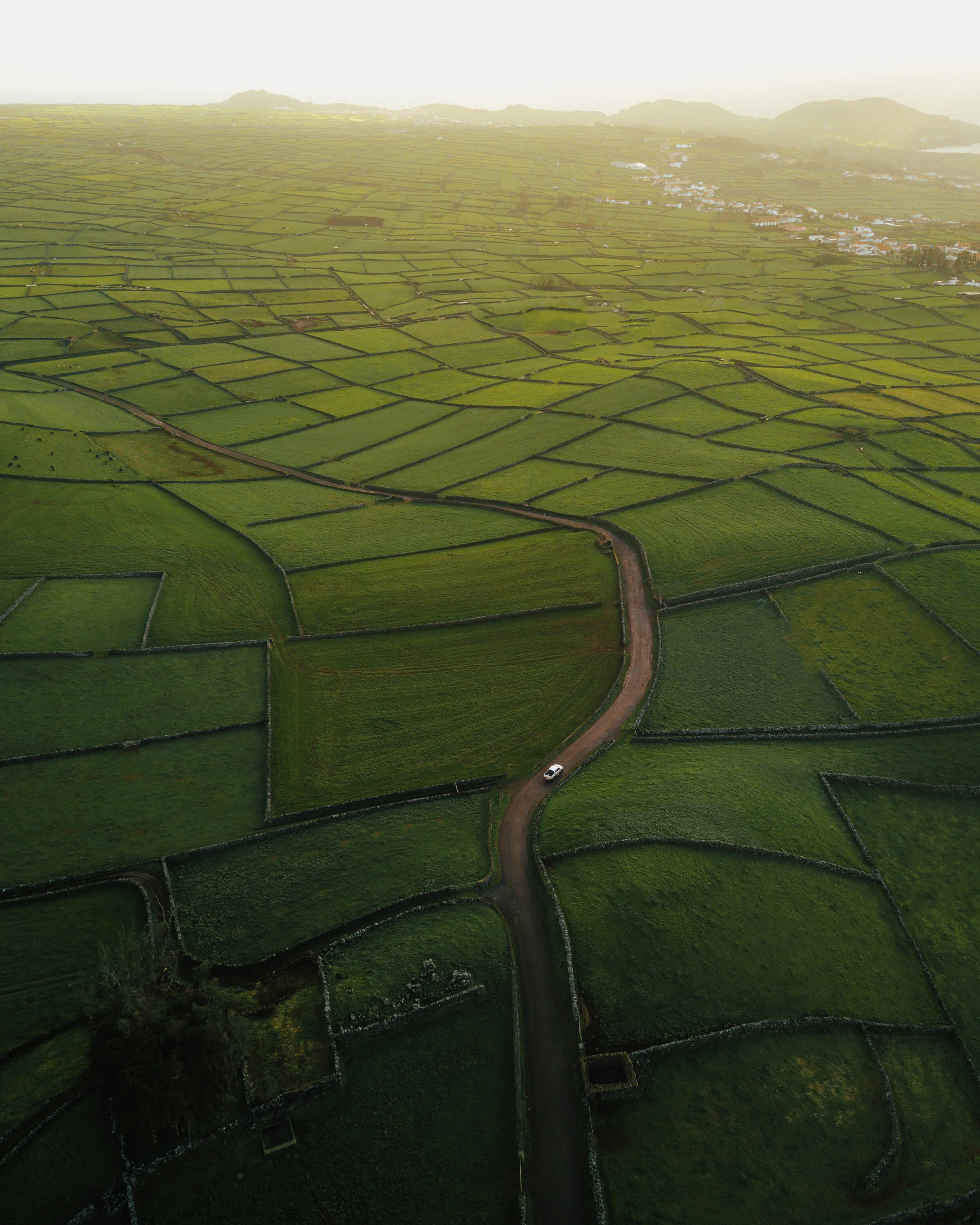 DJI_0100-Edit.jpg
