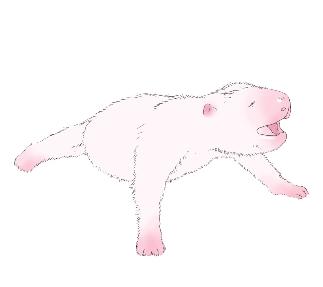 Newborn Panda, digital line drawing, 2017