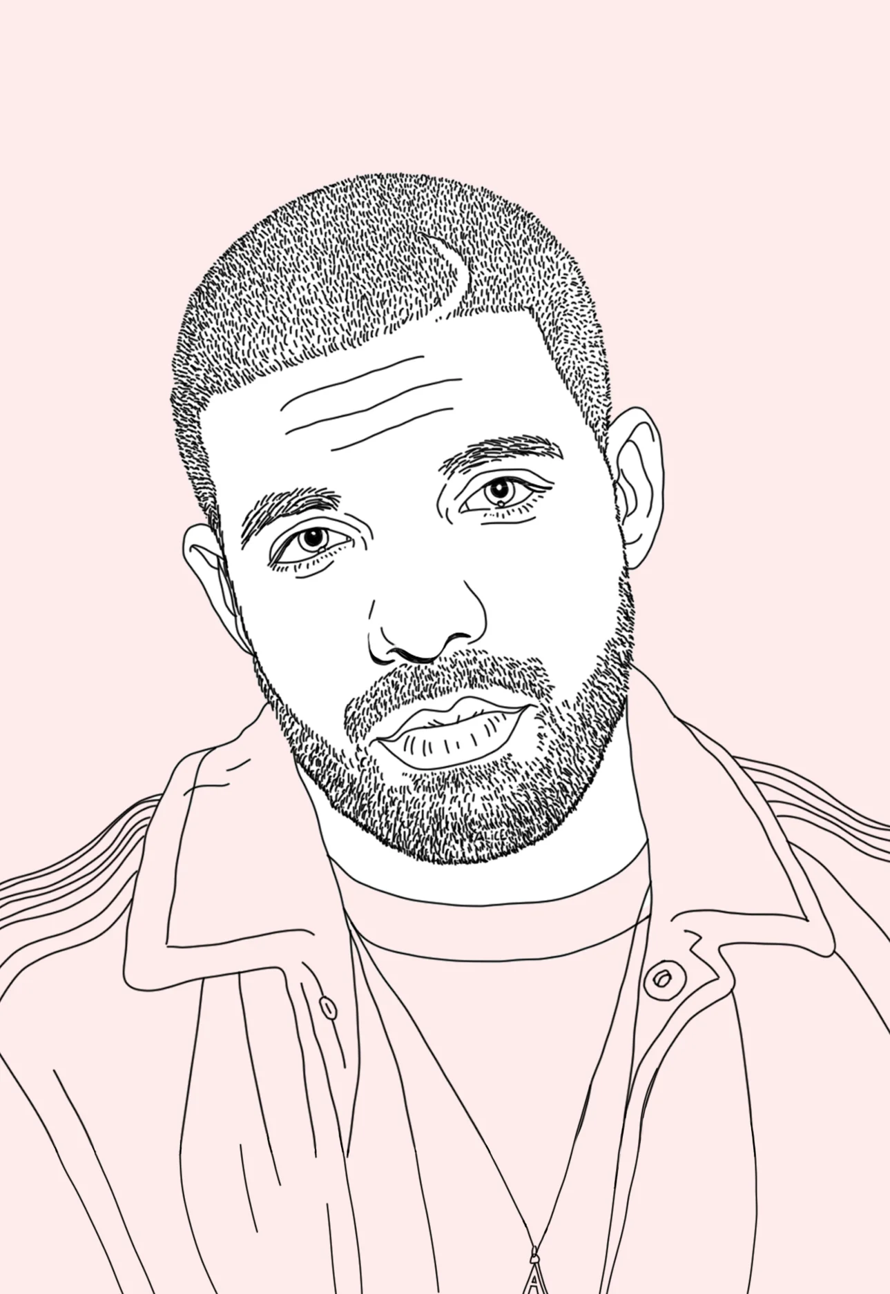 Drake Outline.pdf Drake Outline Drawing
