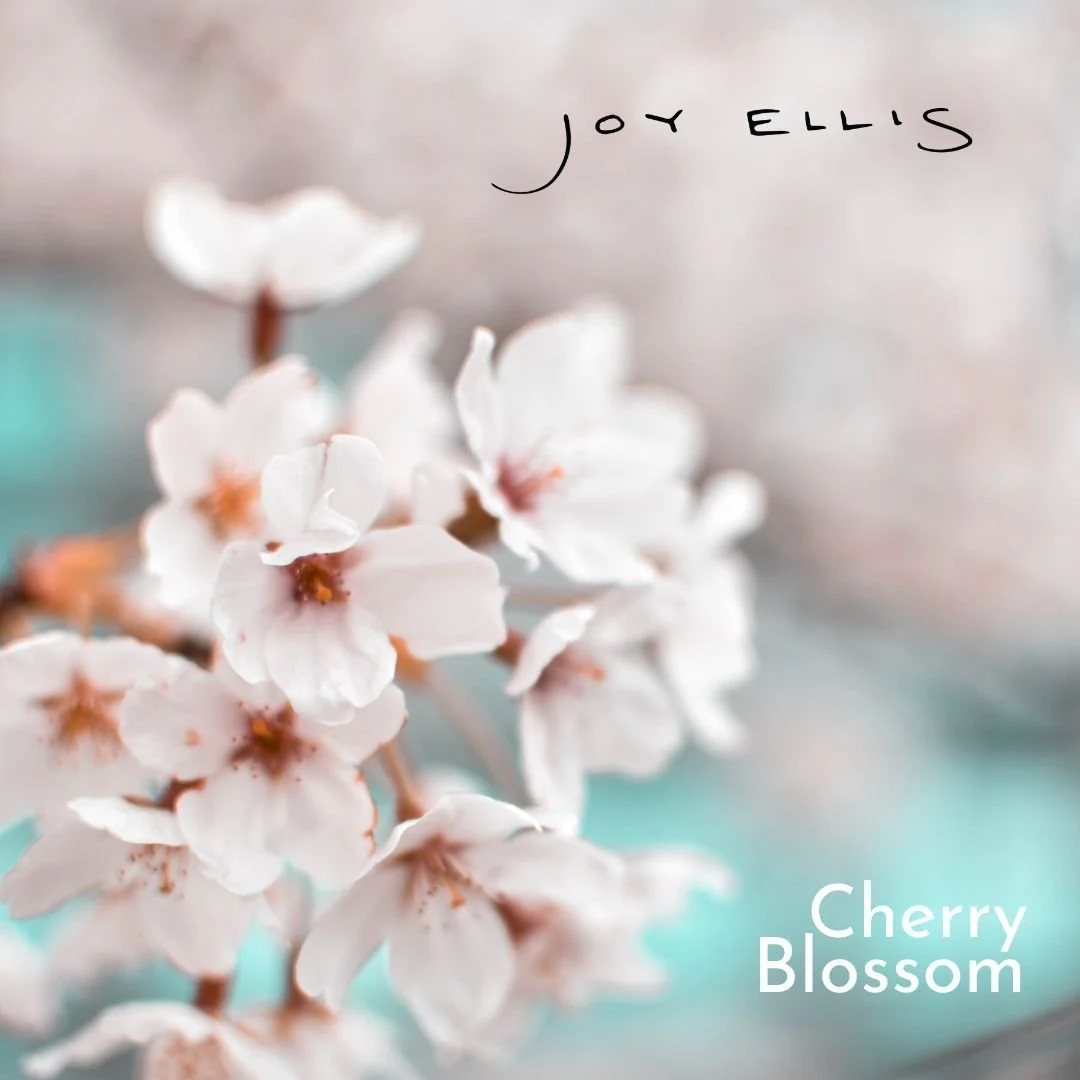 Cherry Blossom